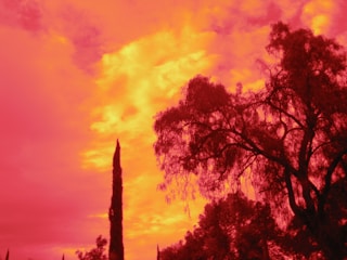 A striking photograph of a sunset with rich colors and sharp details.