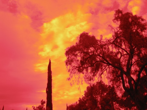 A striking photograph of a sunset with rich colors and sharp details.