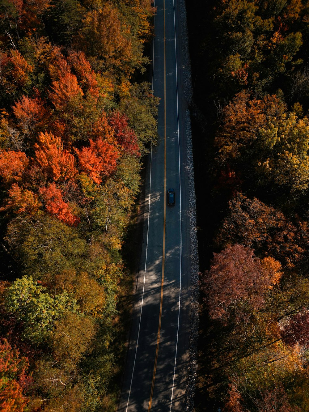 an aerial view of a road surrounded by trees