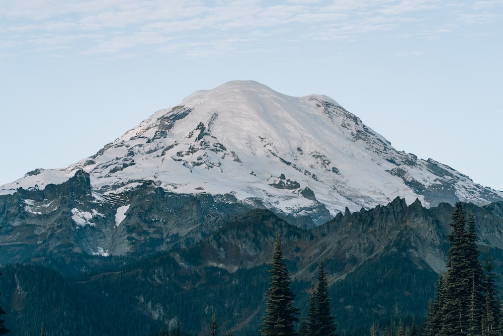 a snow covered mountain surrounded by pine trees