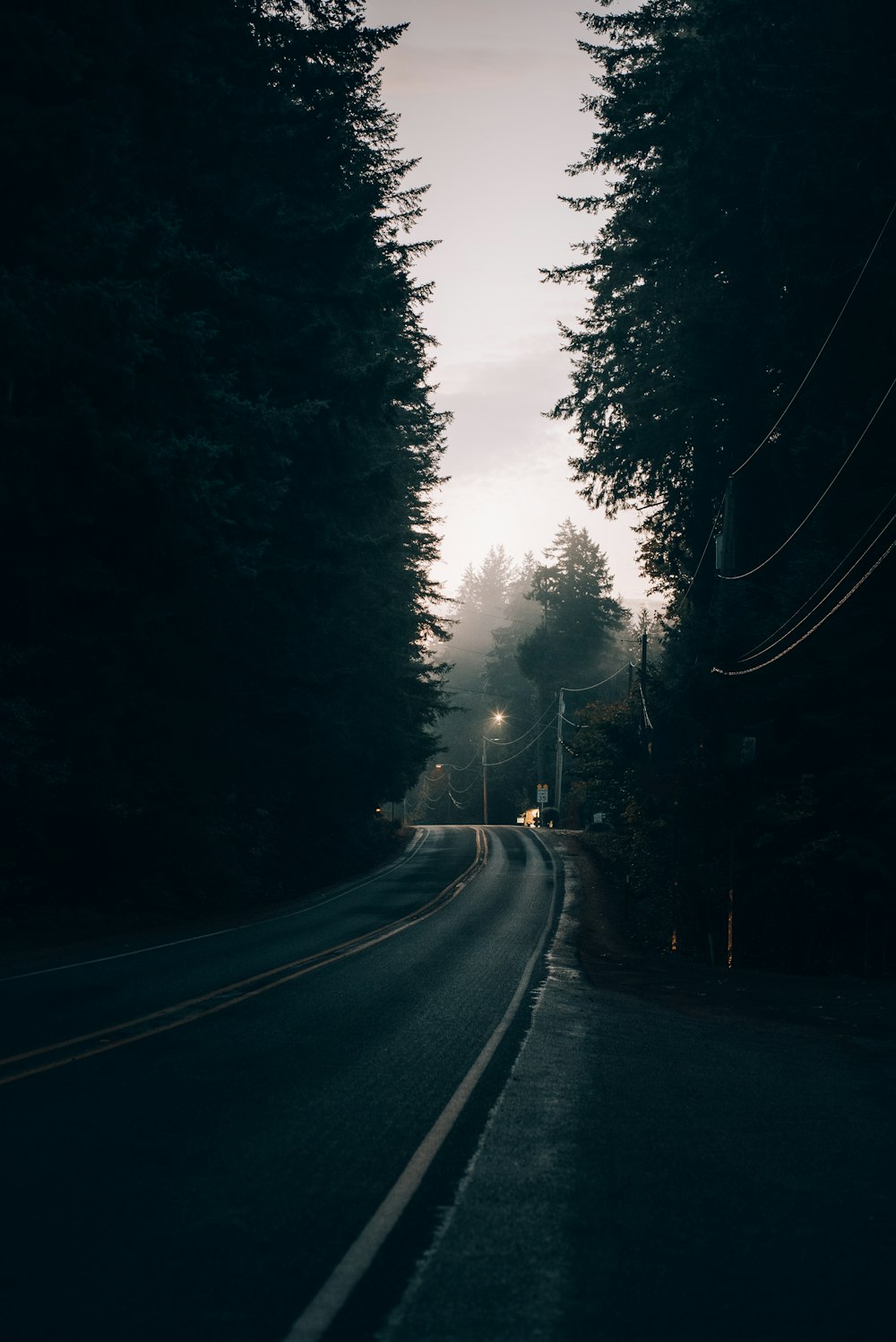 a dark road with trees on both sides