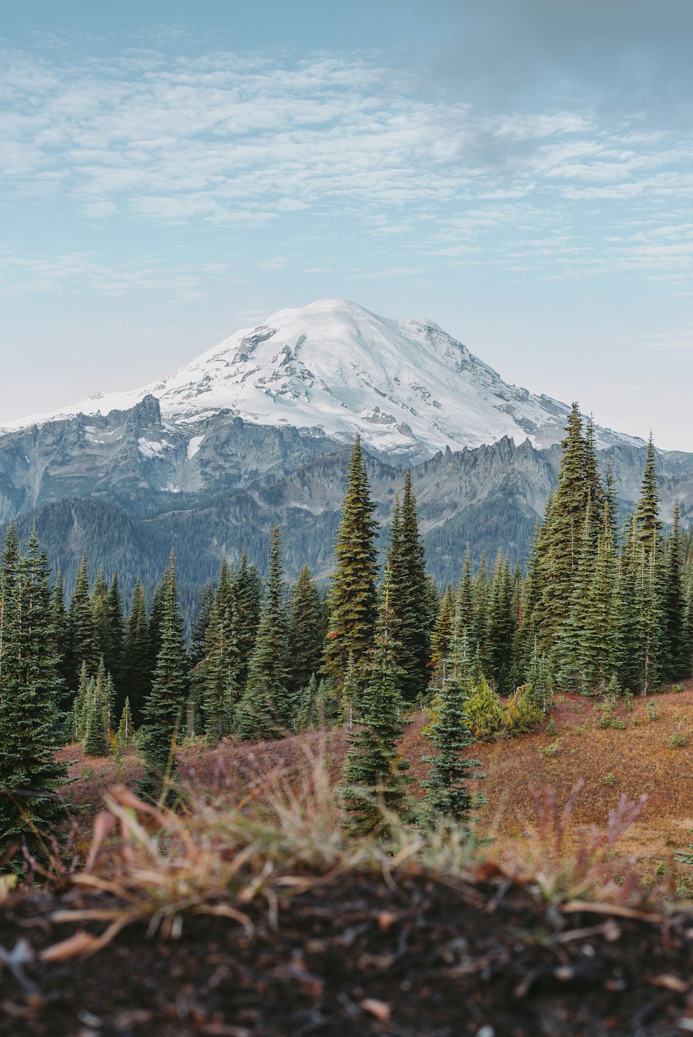 a view of a snow covered mountain with trees in the foreground