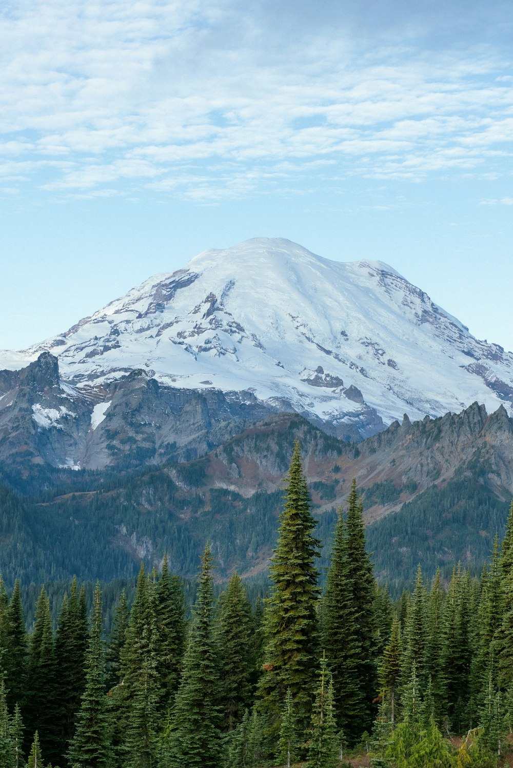 a mountain covered in snow and surrounded by pine trees