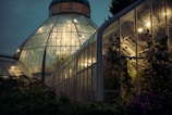 Evening view of a home garden covered with a custom lexan canopy glowing softly under warm lights