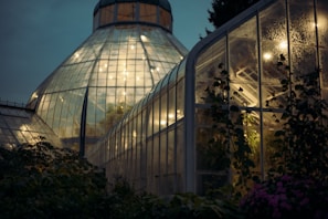 Evening view of a home garden covered with a custom lexan canopy glowing softly under warm lights