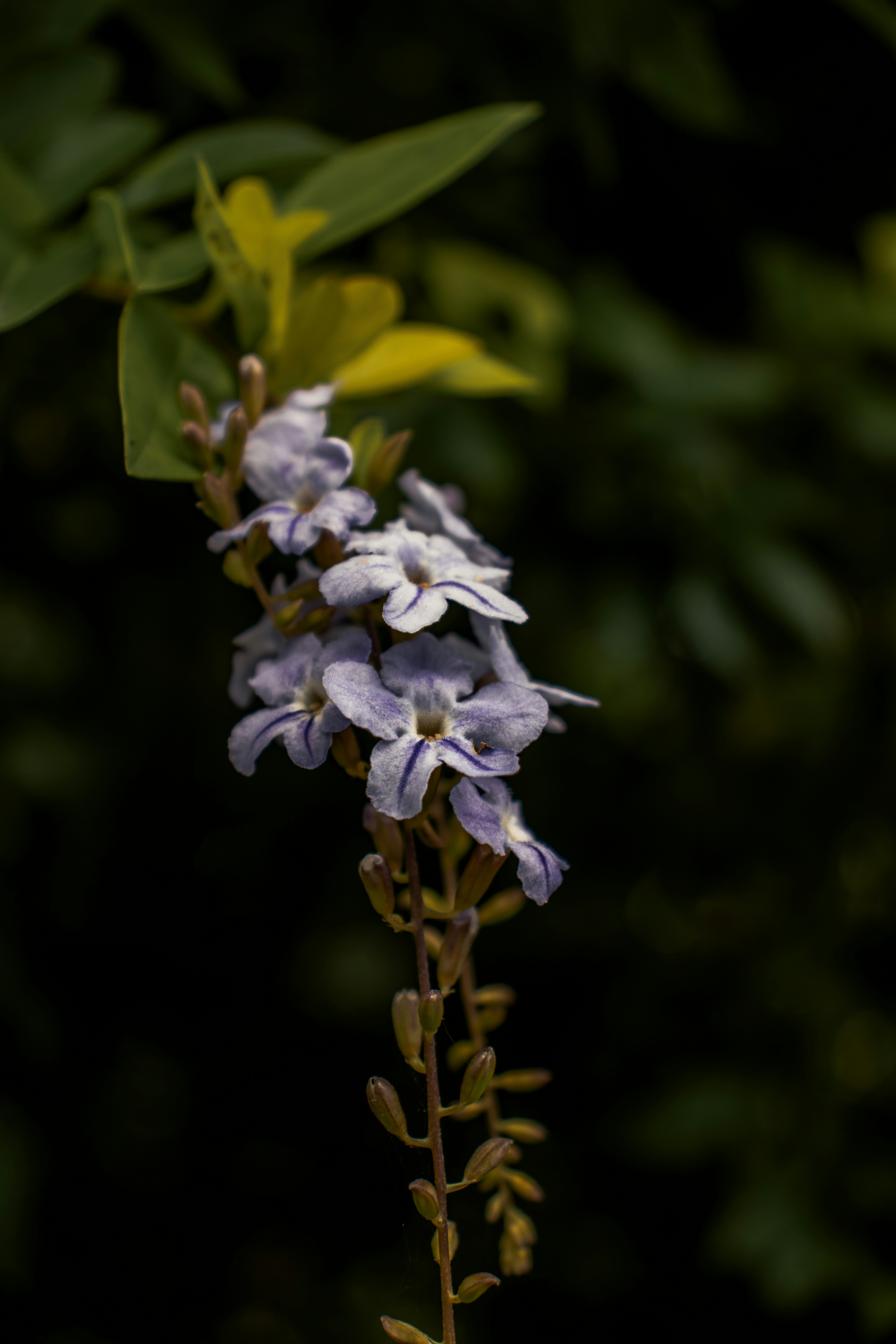 Photo by parimaljain