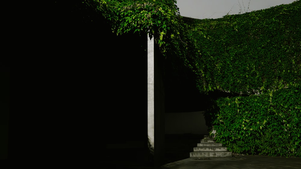 a tall white pole sitting next to a lush green wall