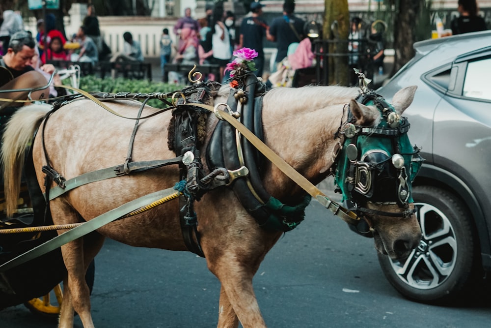 a brown horse pulling a carriage down a street