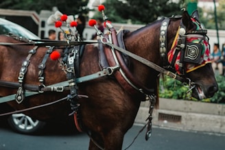 A brown horse is adorned with a decorated harness, featuring metal embellishments and red pom-poms. The horse wears a colorful, patterned blindfold or mask covering its eyes. It is harnessed and appears to be part of a carriage setup. The background shows an urban environment with blurred figures and greenery.