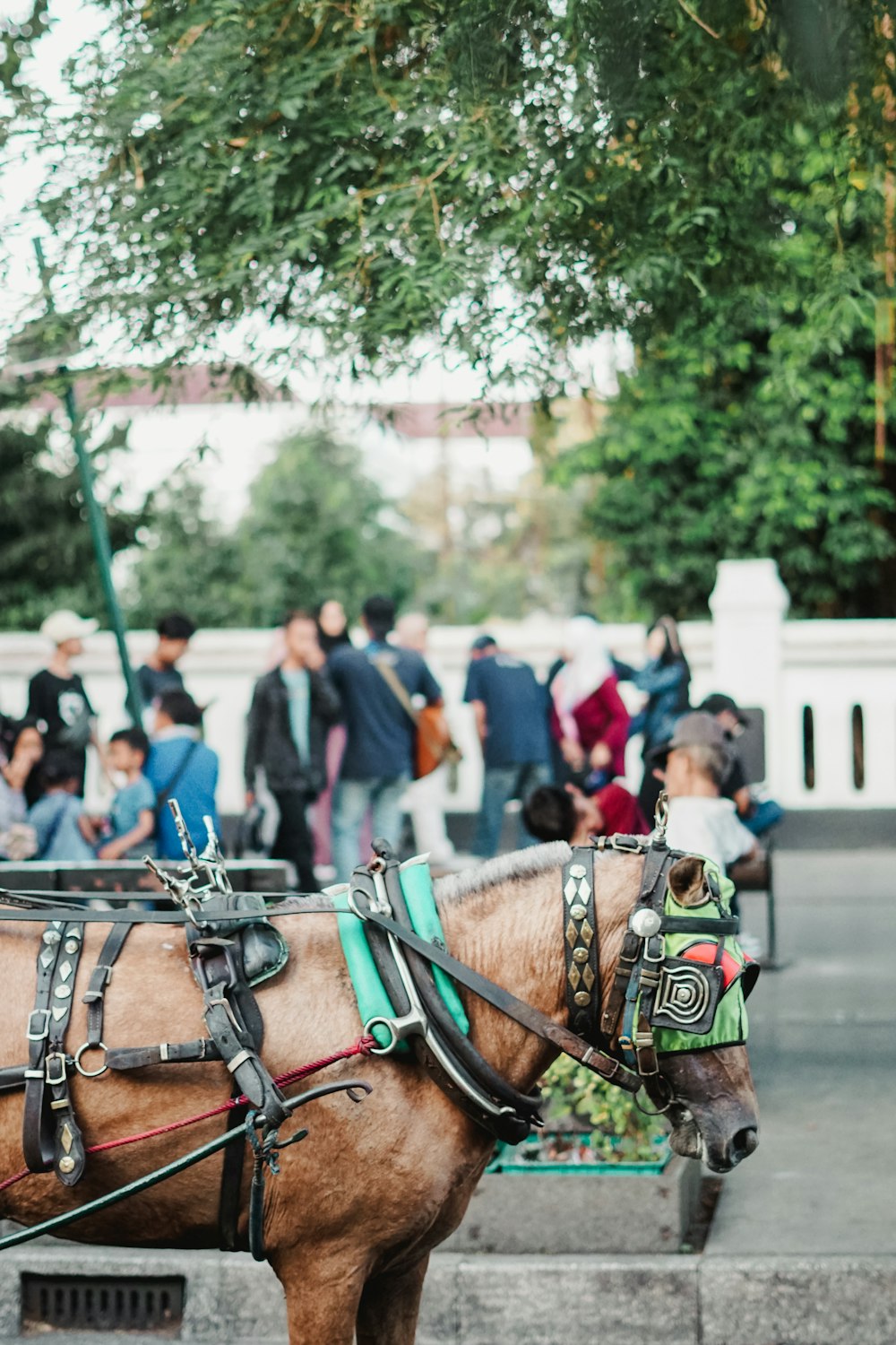 a brown horse standing next to a crowd of people