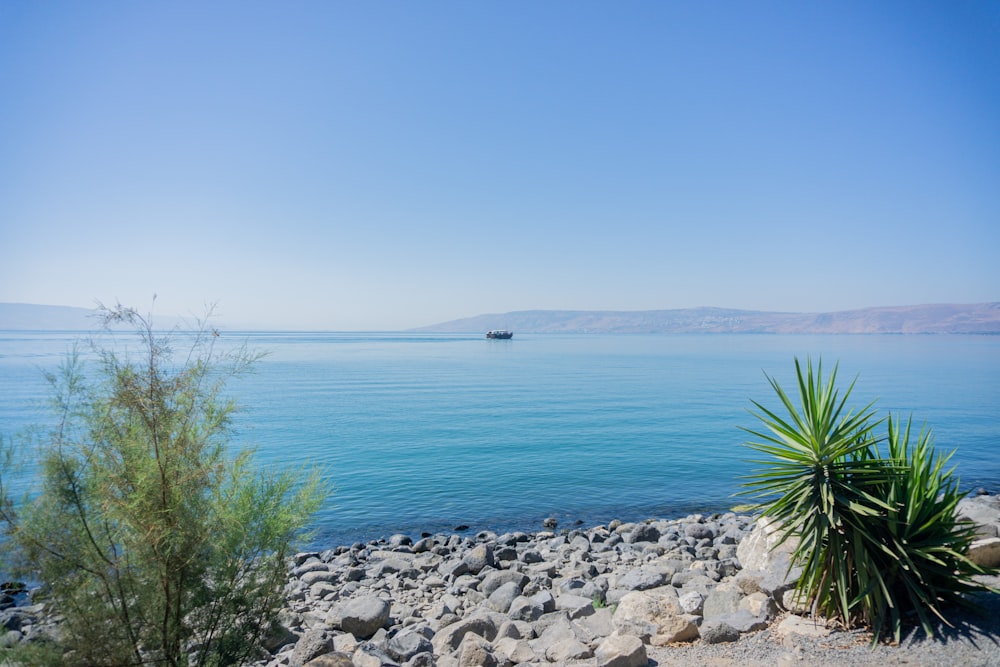 a large body of water sitting next to a rocky shore