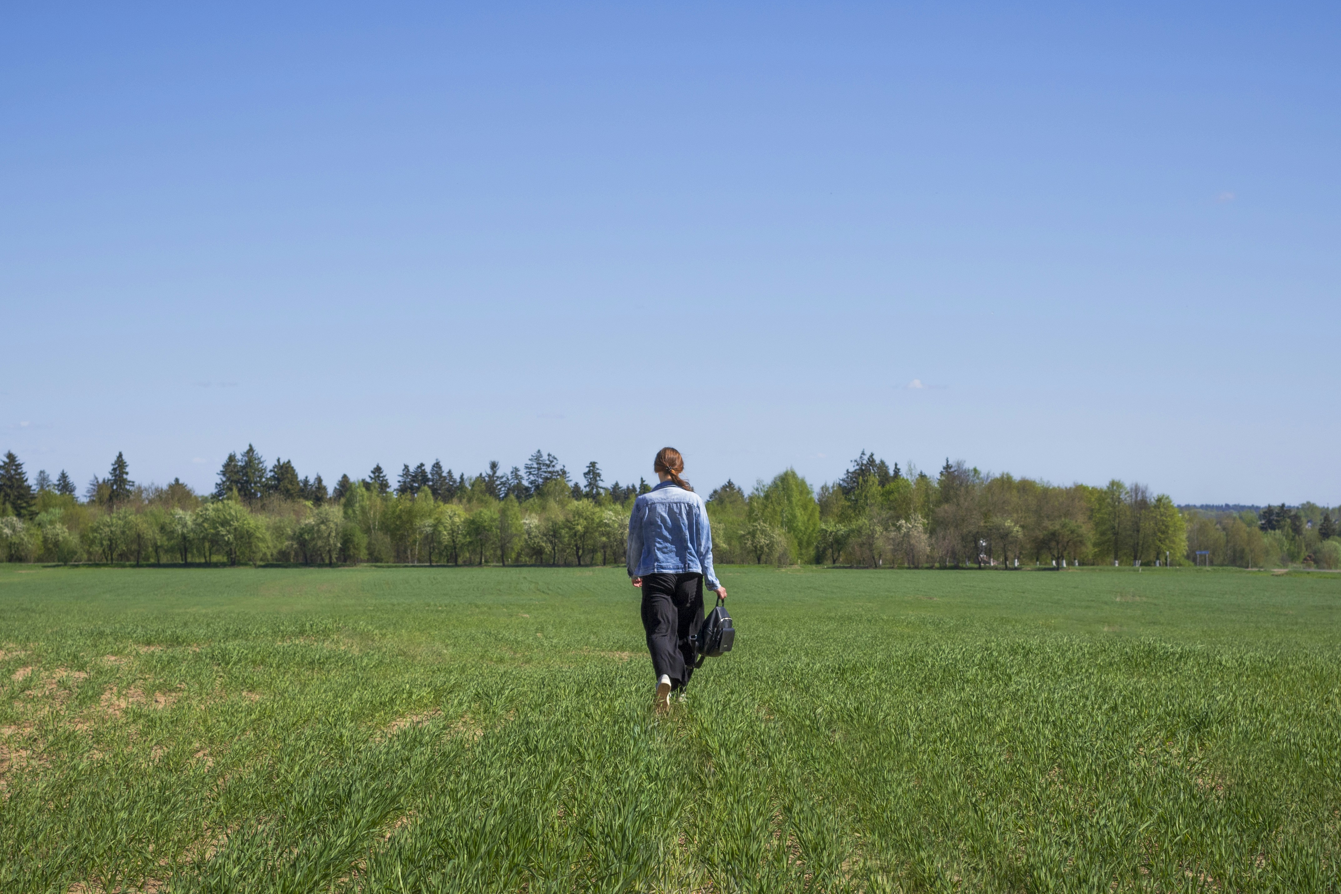 The Fertility of the Prairie Soils (image credits: unsplash)
