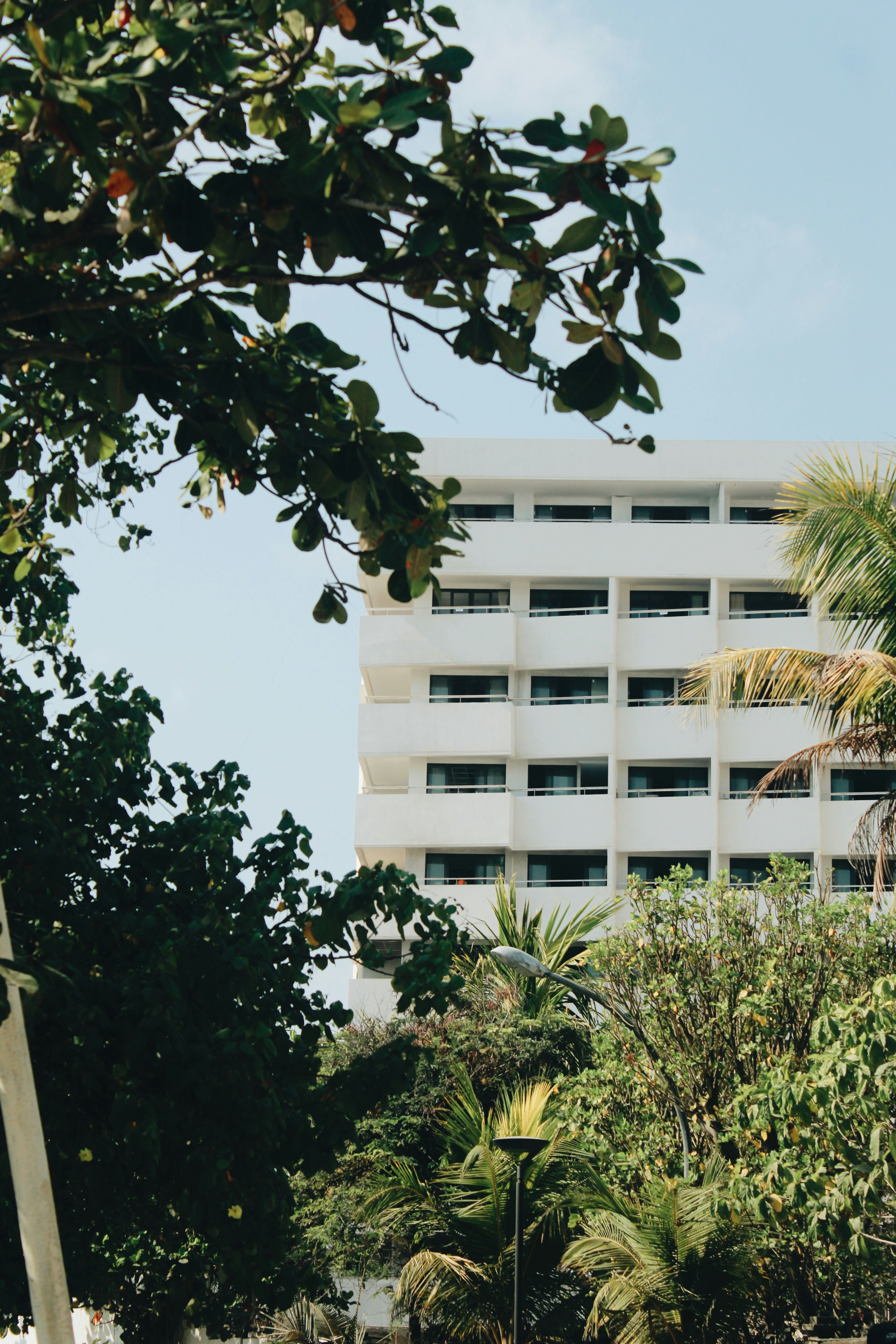 Photo by pradnyapranata