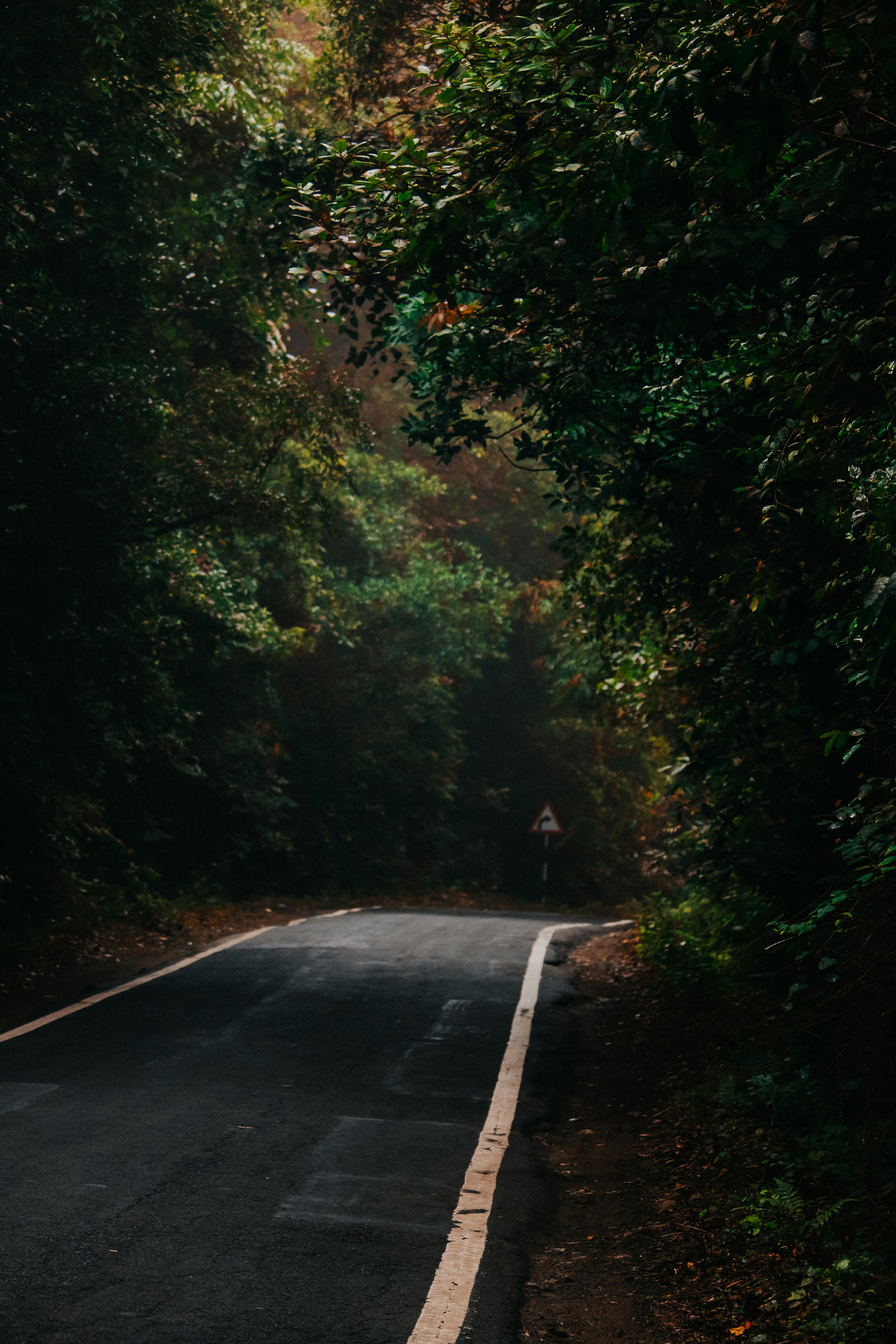 Photo by anasanwarphotography