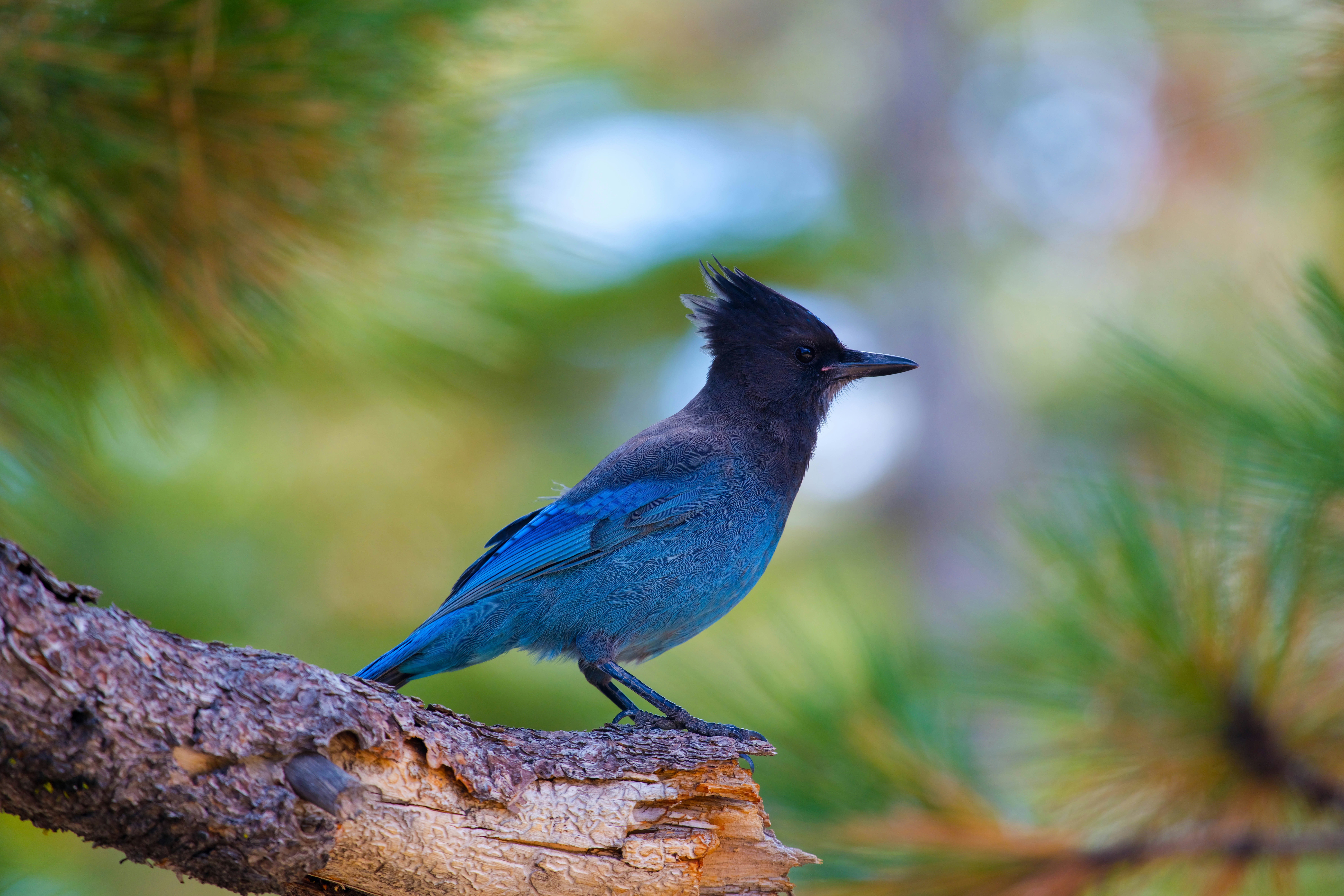 Photo by xiahuaphotography