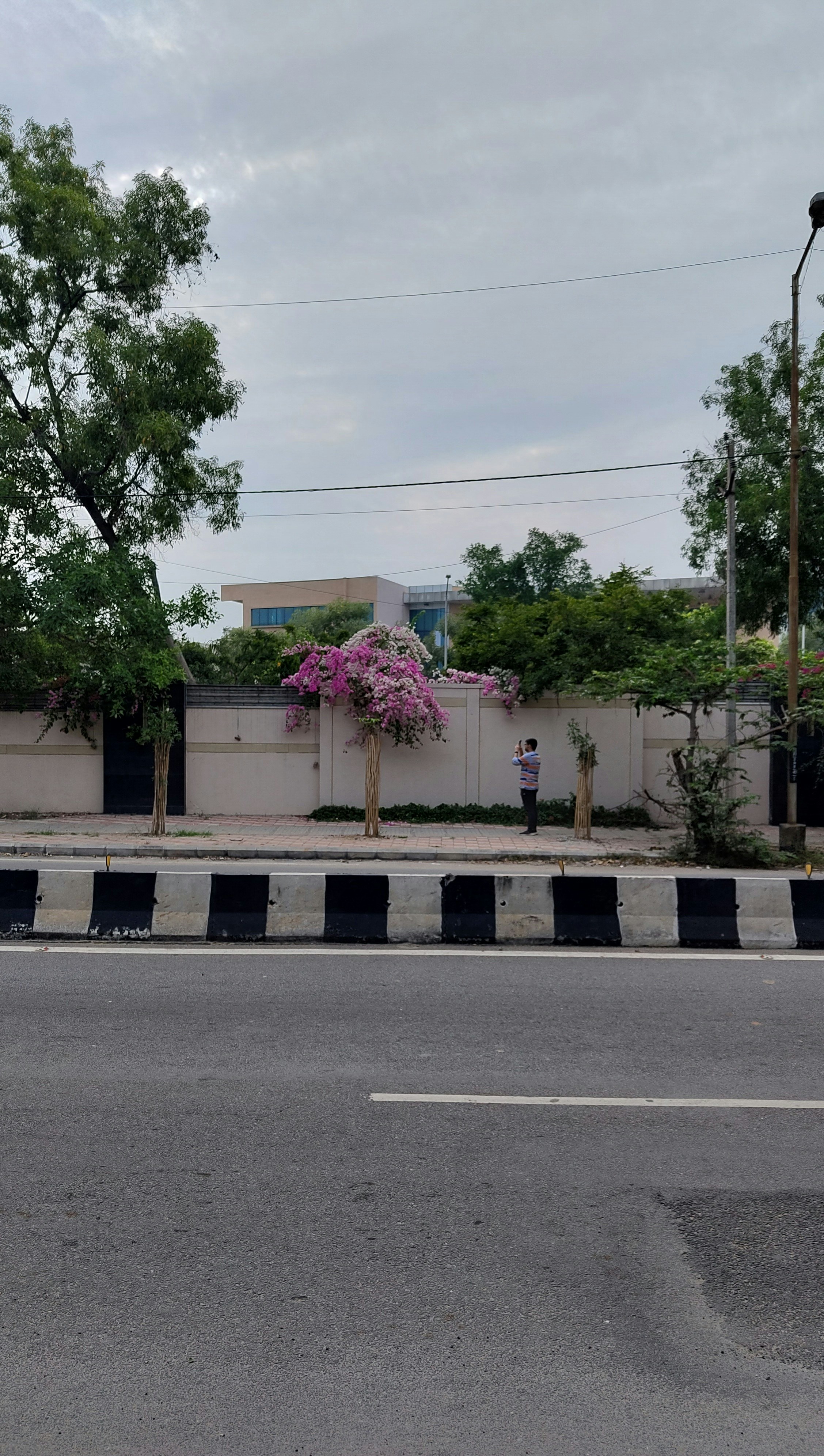 eine Straße mit einem Gebäude und Bäumen an der Seite