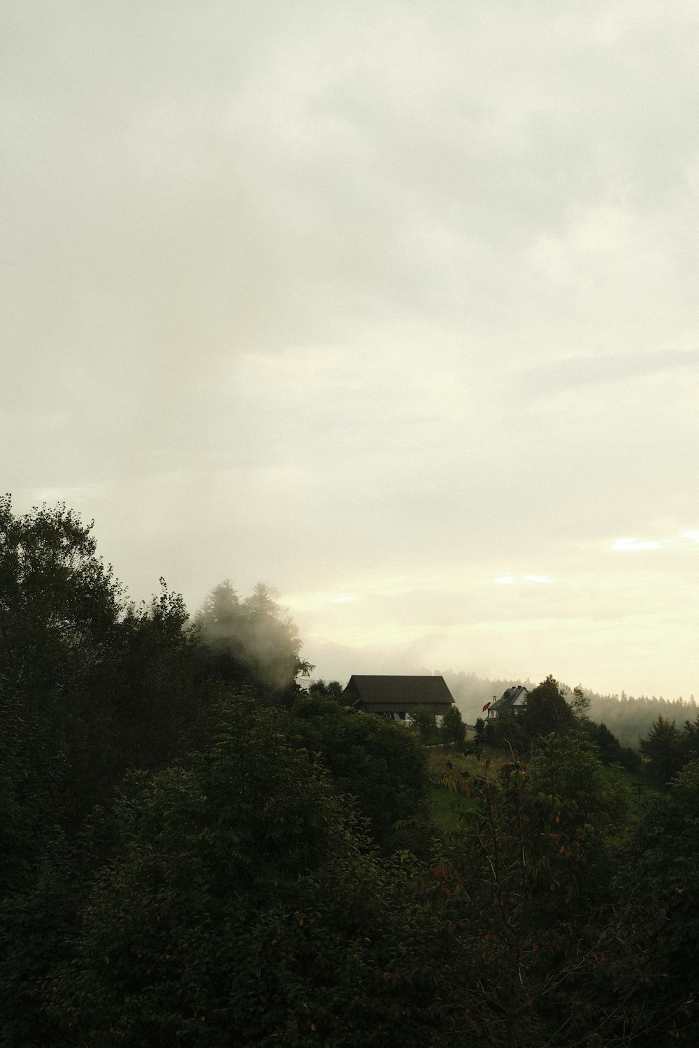 a house on top of a hill surrounded by trees