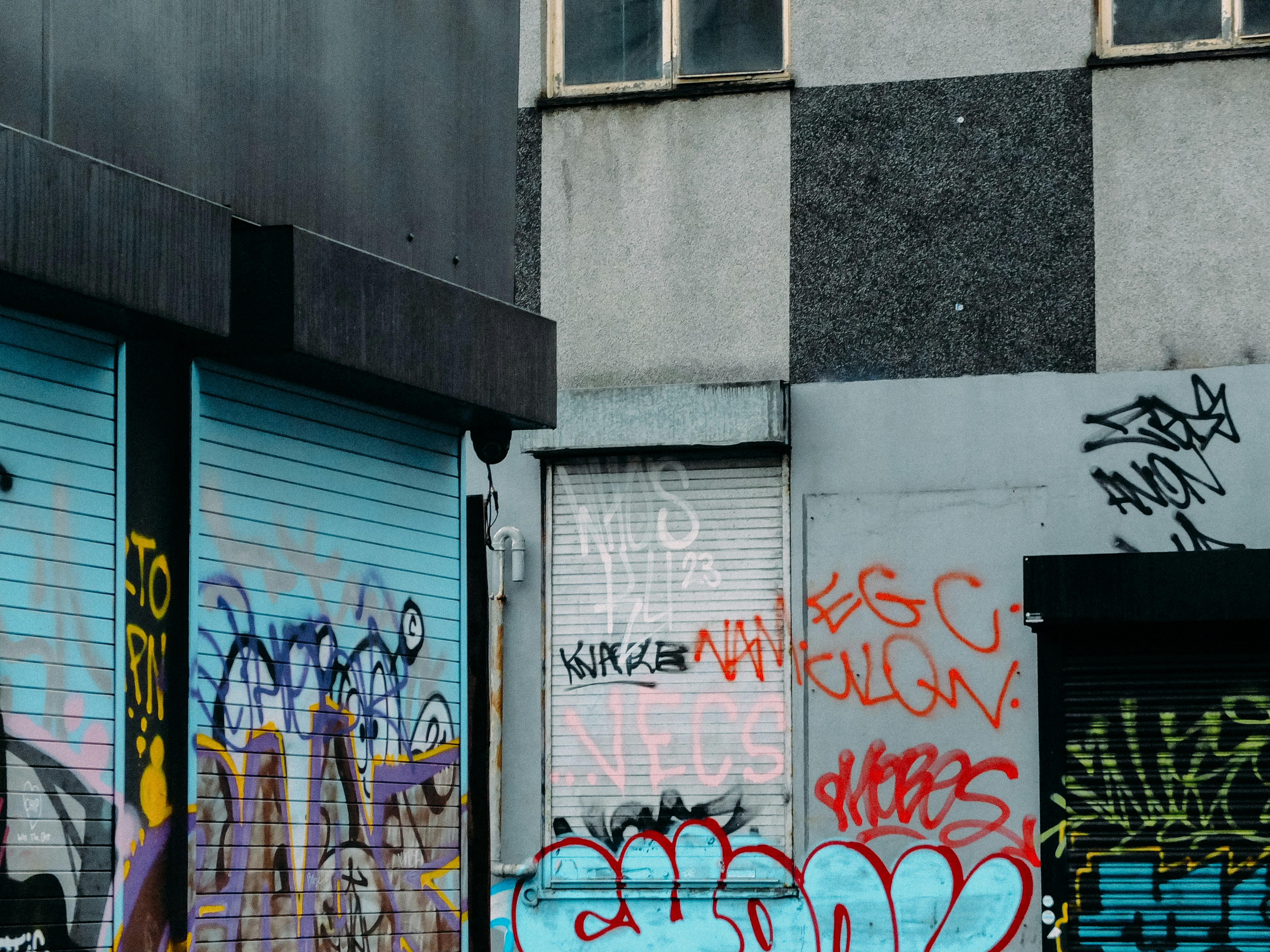 Unveiling the Secret to Thriving Dracaena Janet Craig