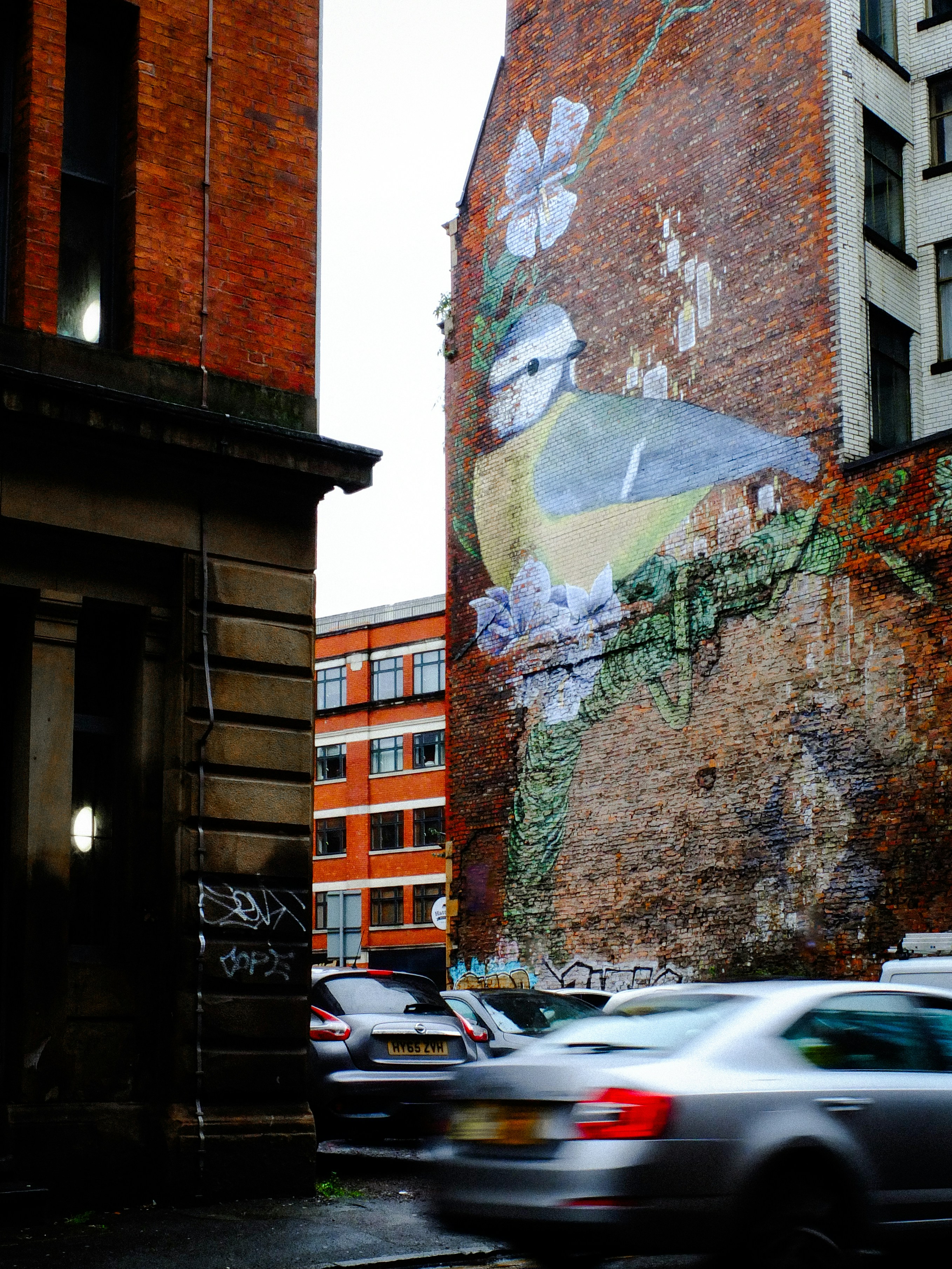 a building with a bird painted on the side of it