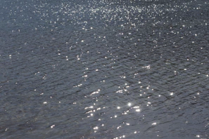 Close-up of a floating photocatalyst system shimmering on a sunlit water surface