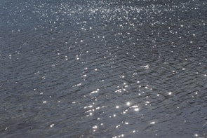 A solar pool cover shimmering under the sun, gently warming the water beneath.