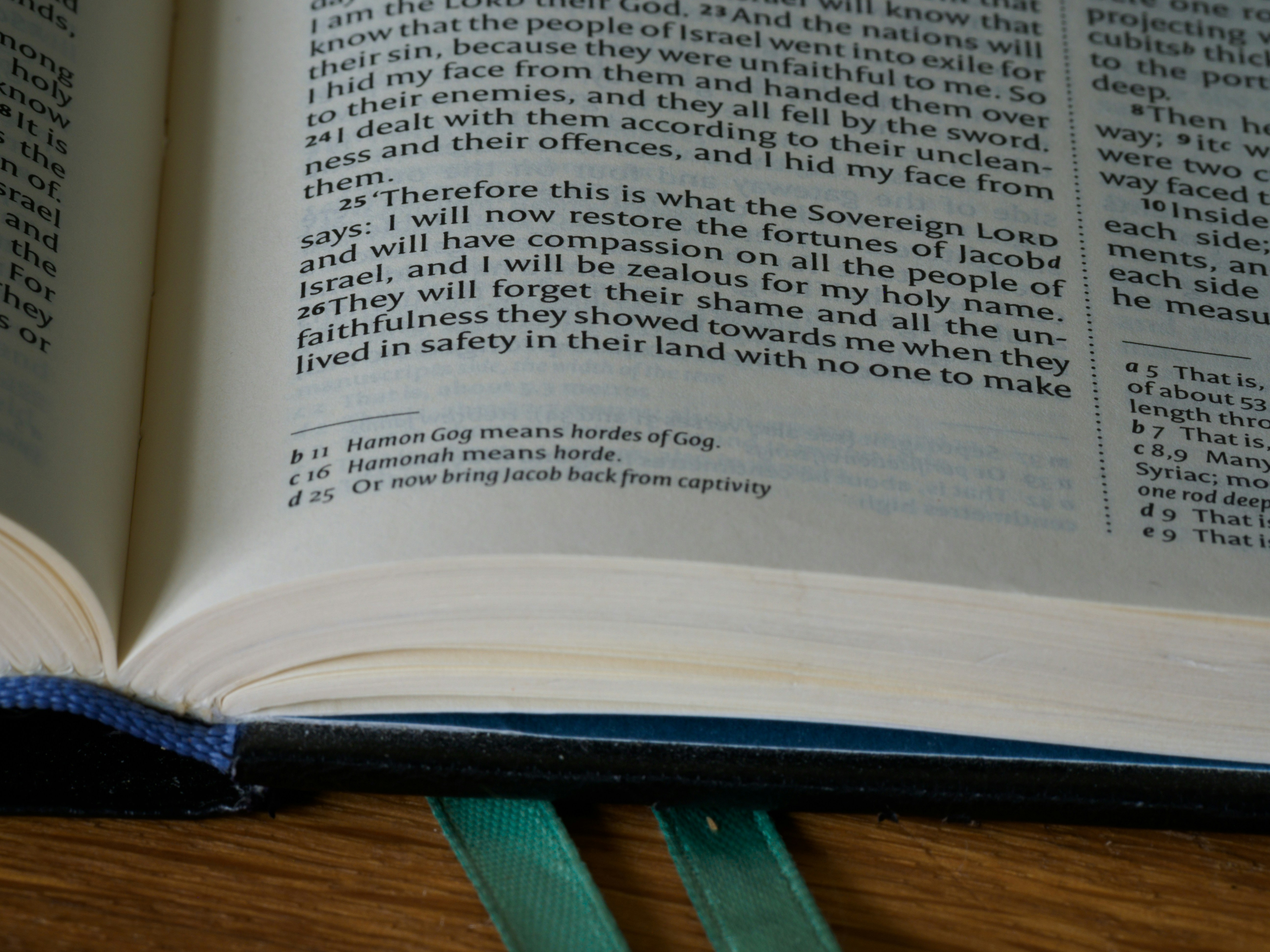 Photo by brett_jordan