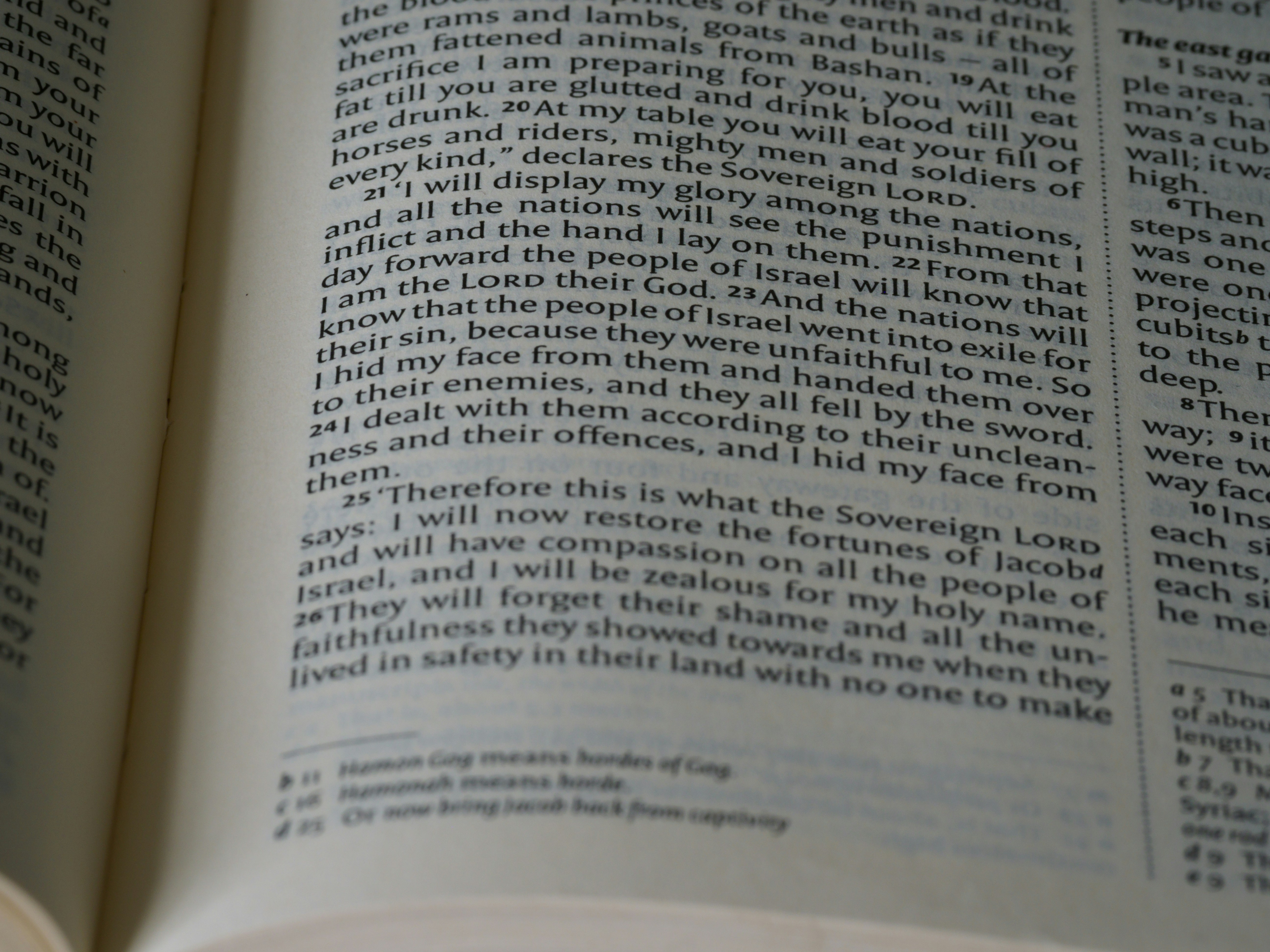 close up, bokeh, macro, blur, blurred background, close focus, bible, old testament, hebrew bible, christian, judaism, history, text, reading, bible study, devotions, text, NIV, New International Version, type, typography, canon, christianity, holy scripture, holy bible, scripture, old testament, hebrew bible, prophecy, exile, judgement, judgment, redemption, ezekiel, ezechiel, יְחֶזְקֵאל ,Yəḥezqēʾl, septuagint, book of ezekiel, prophet, prophecy, son of buzi, destruction of jerusalem, restoration of israel, restoration, babylonian captivity, babylon,
