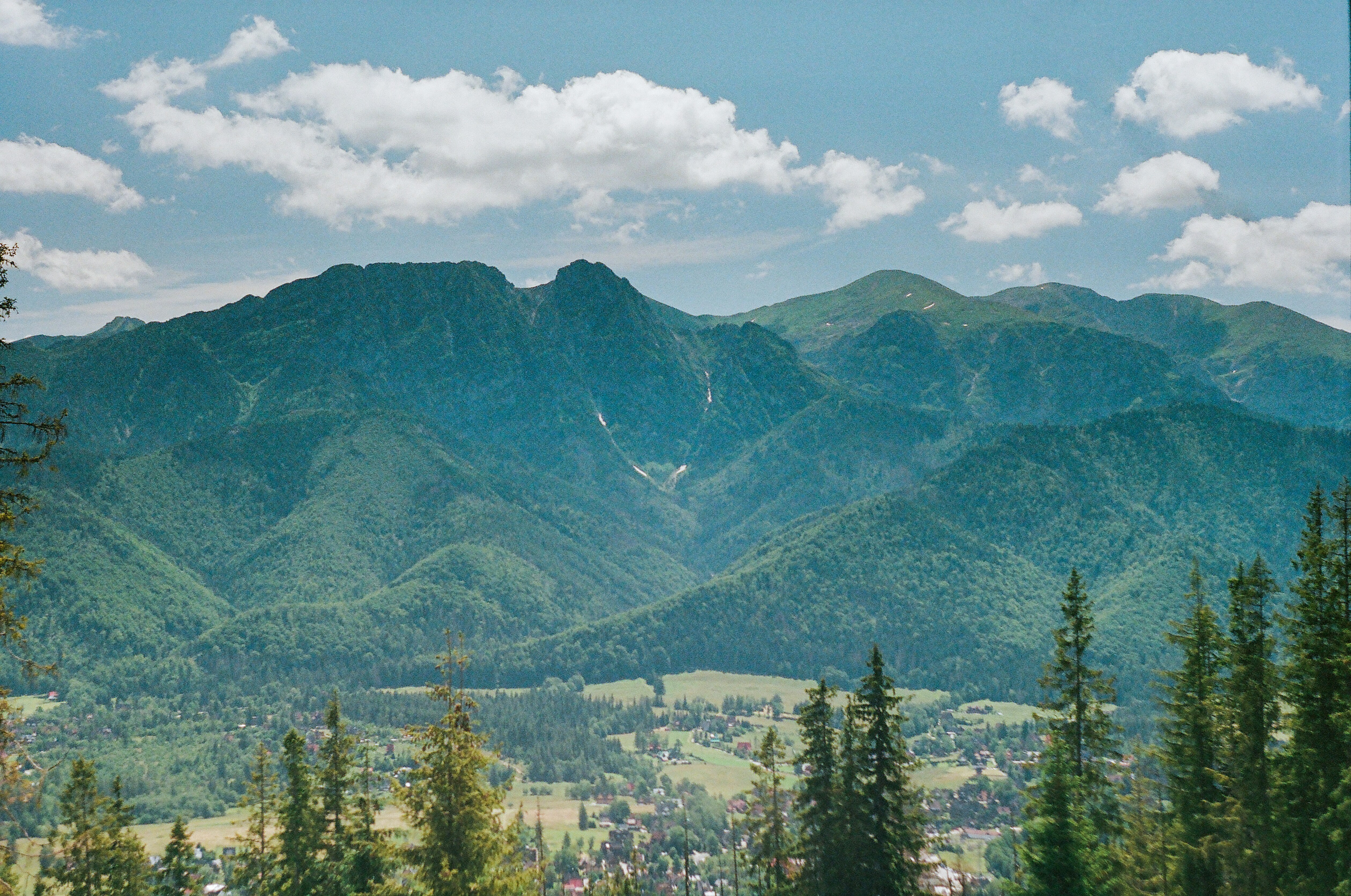 Photo by margarita_ua