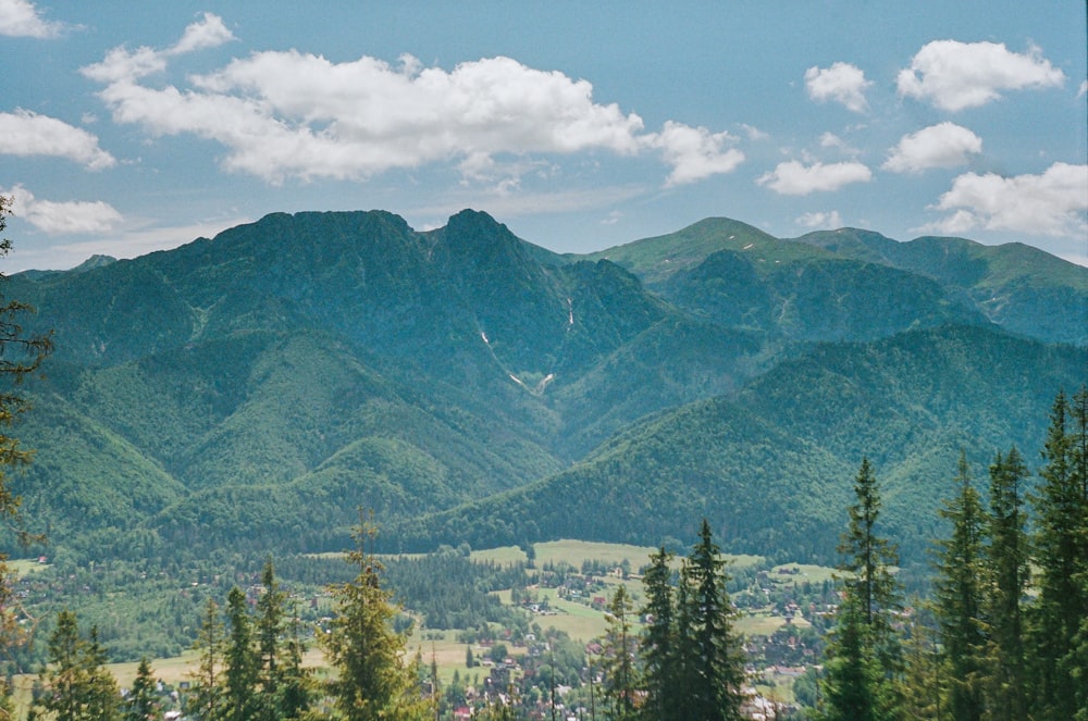 a scenic view of a mountain range with trees in the foreground