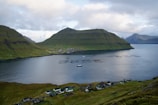 A tranquil fjord scene with a serene body of water reflecting the overcast sky. Circular fish farming enclosures float on the water's surface. Surrounding the fjord are lush, green hills and a small village with colorful houses nestled along the shoreline. The atmosphere is calm and natural, with rolling hills and distant mountains completing the backdrop.