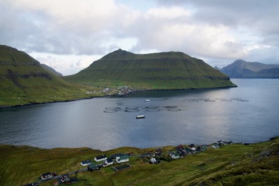 A tranquil fjord scene with a serene body of water reflecting the overcast sky. Circular fish farming enclosures float on the water's surface. Surrounding the fjord are lush, green hills and a small village with colorful houses nestled along the shoreline. The atmosphere is calm and natural, with rolling hills and distant mountains completing the backdrop.