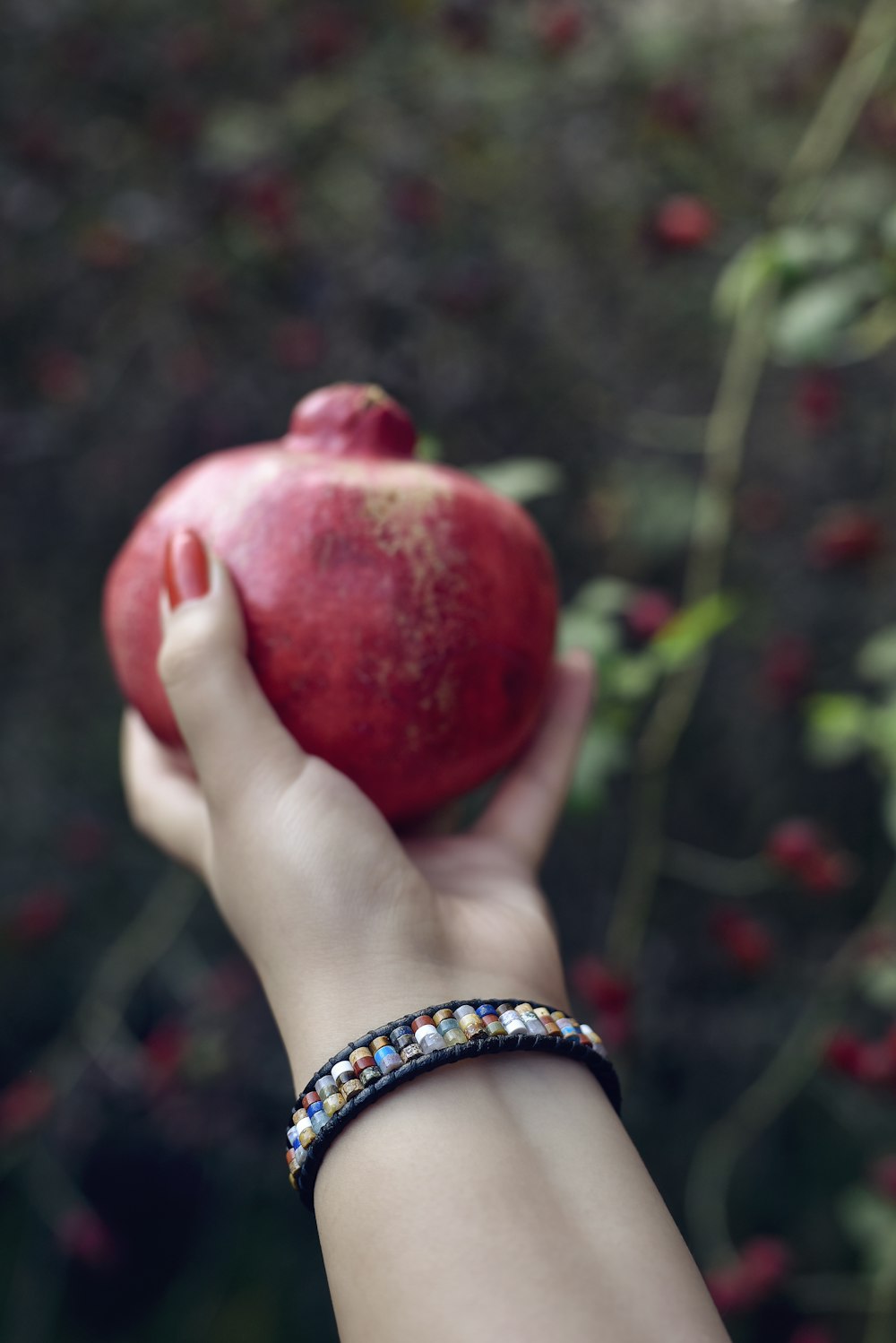 a person holding an apple in their hand