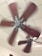 Two ceiling fans with wooden blades are spinning on a white tiled ceiling. The fans are in motion, creating a blurred effect around the blades.