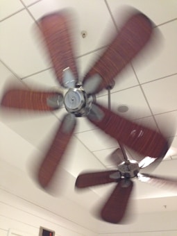 Two ceiling fans with wooden blades are spinning on a white tiled ceiling. The fans are in motion, creating a blurred effect around the blades.
