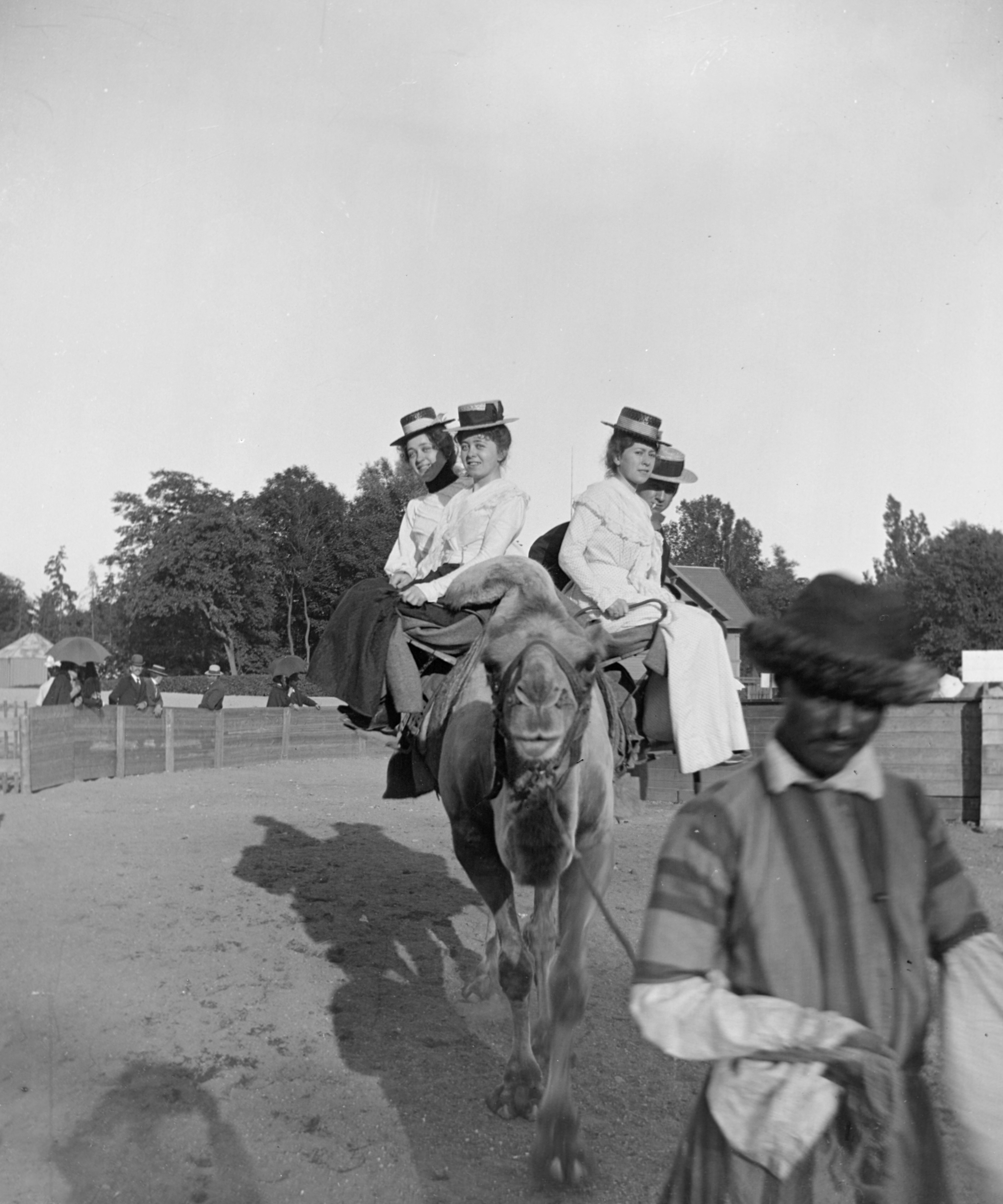 a group of people riding on the backs of horses