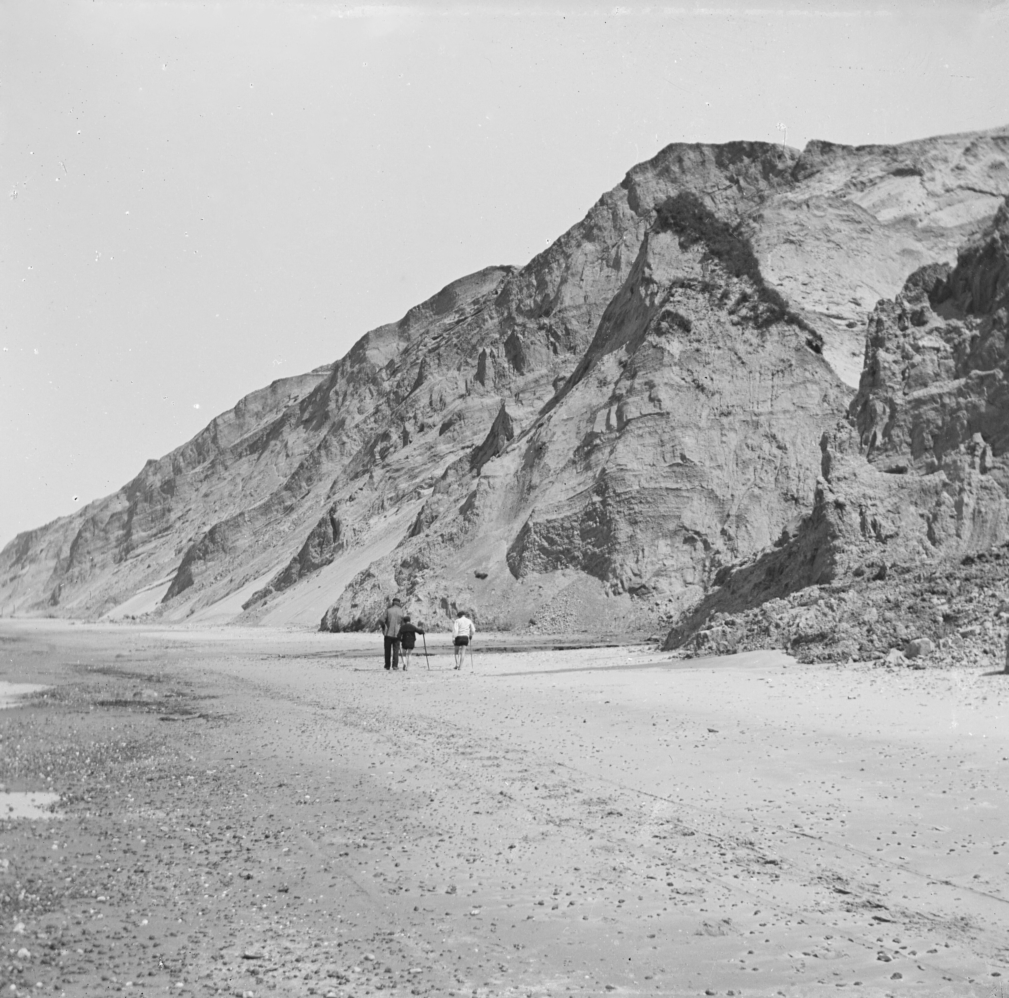 grayscale photo of persons hand on rock