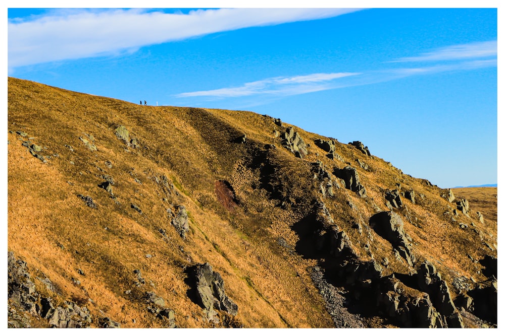 a grassy hill with rocks and grass on it