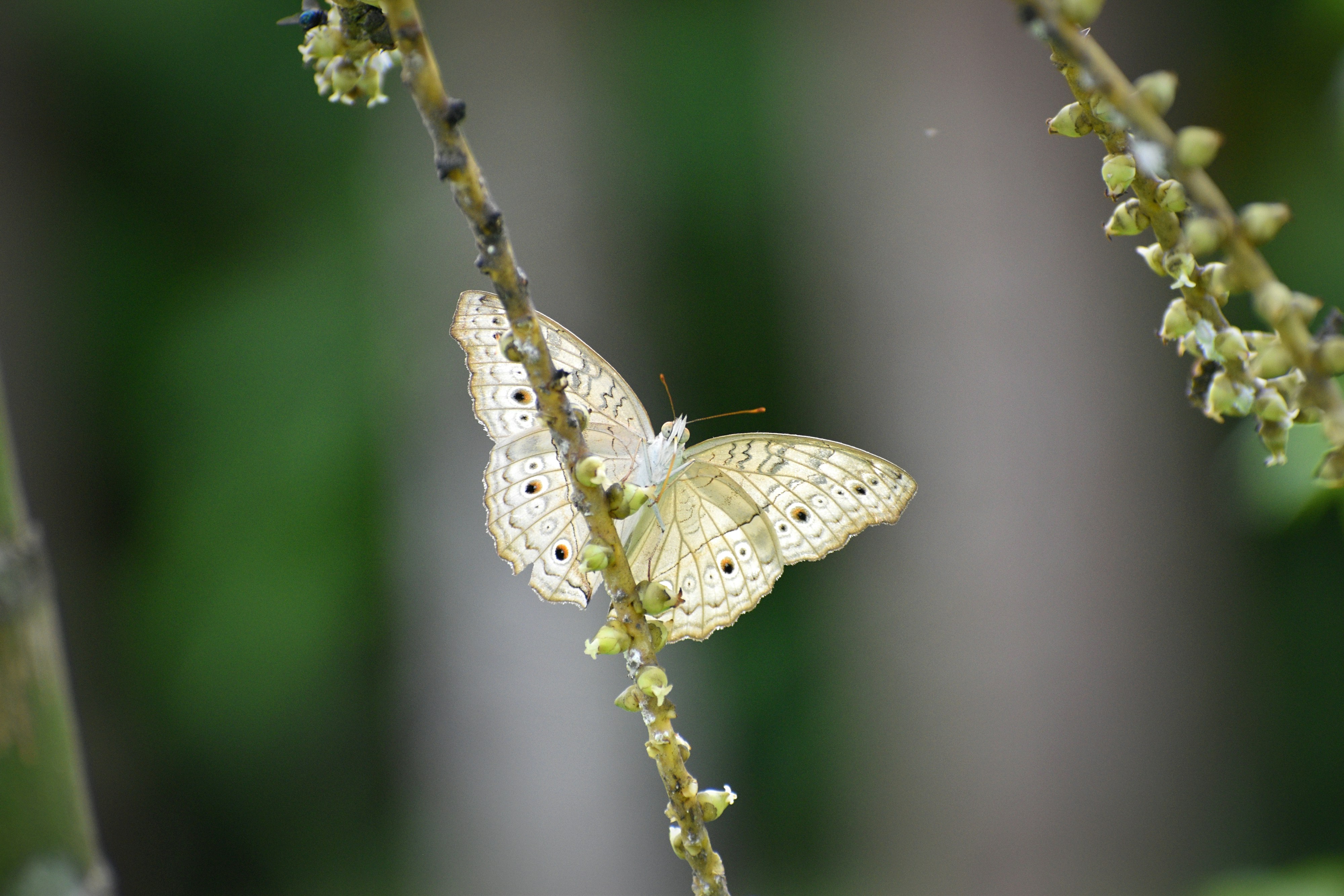 Photo by rishu_bhosale