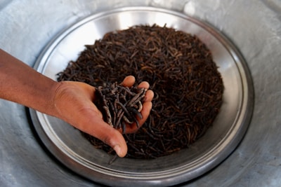 A hand holding several dried edible caterpillars over a large metal bowl filled with more of these caterpillars.