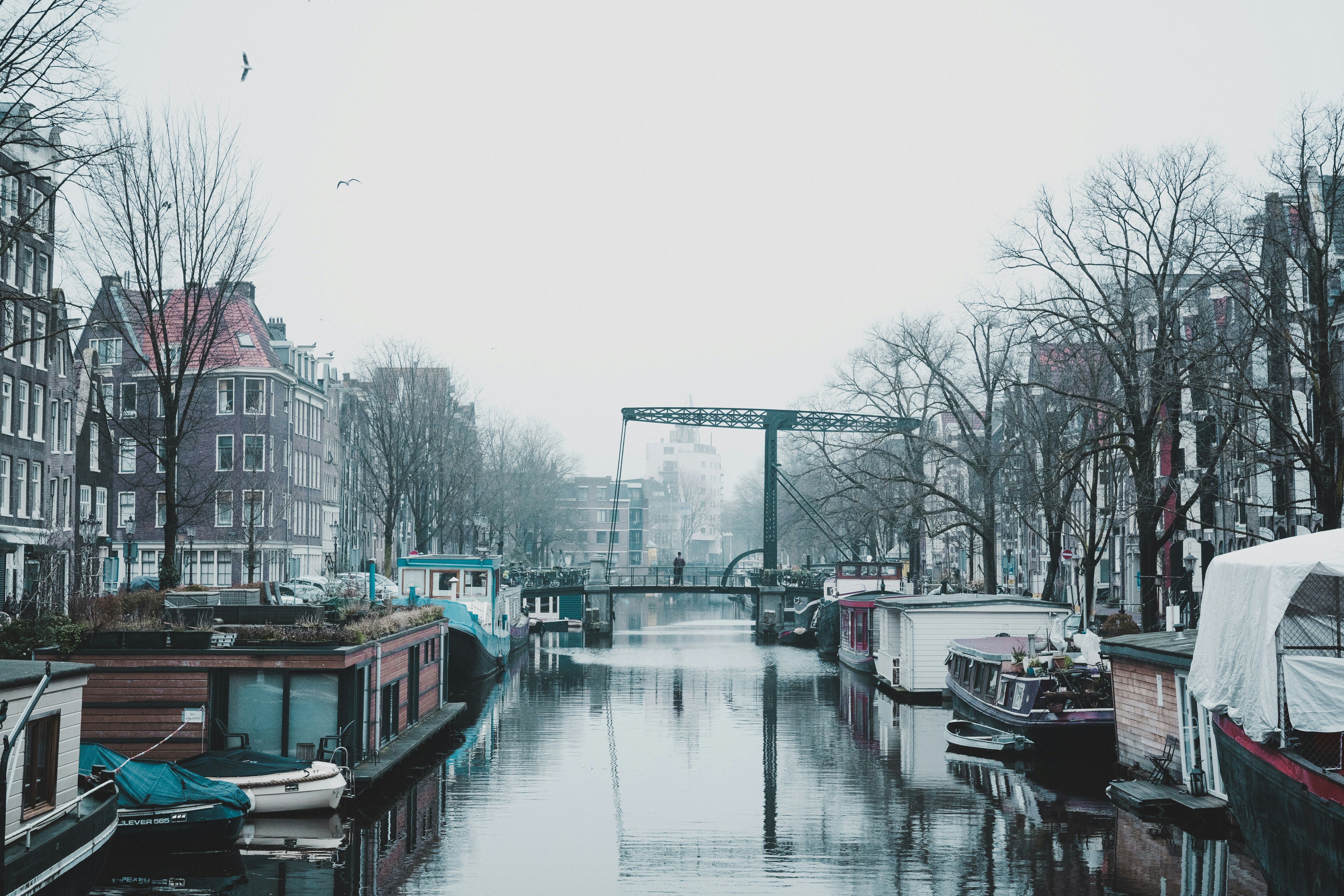 The Netherlands Leads Europe in AI Adoption—Yet Only 5% Capture Real Value. Here's Why