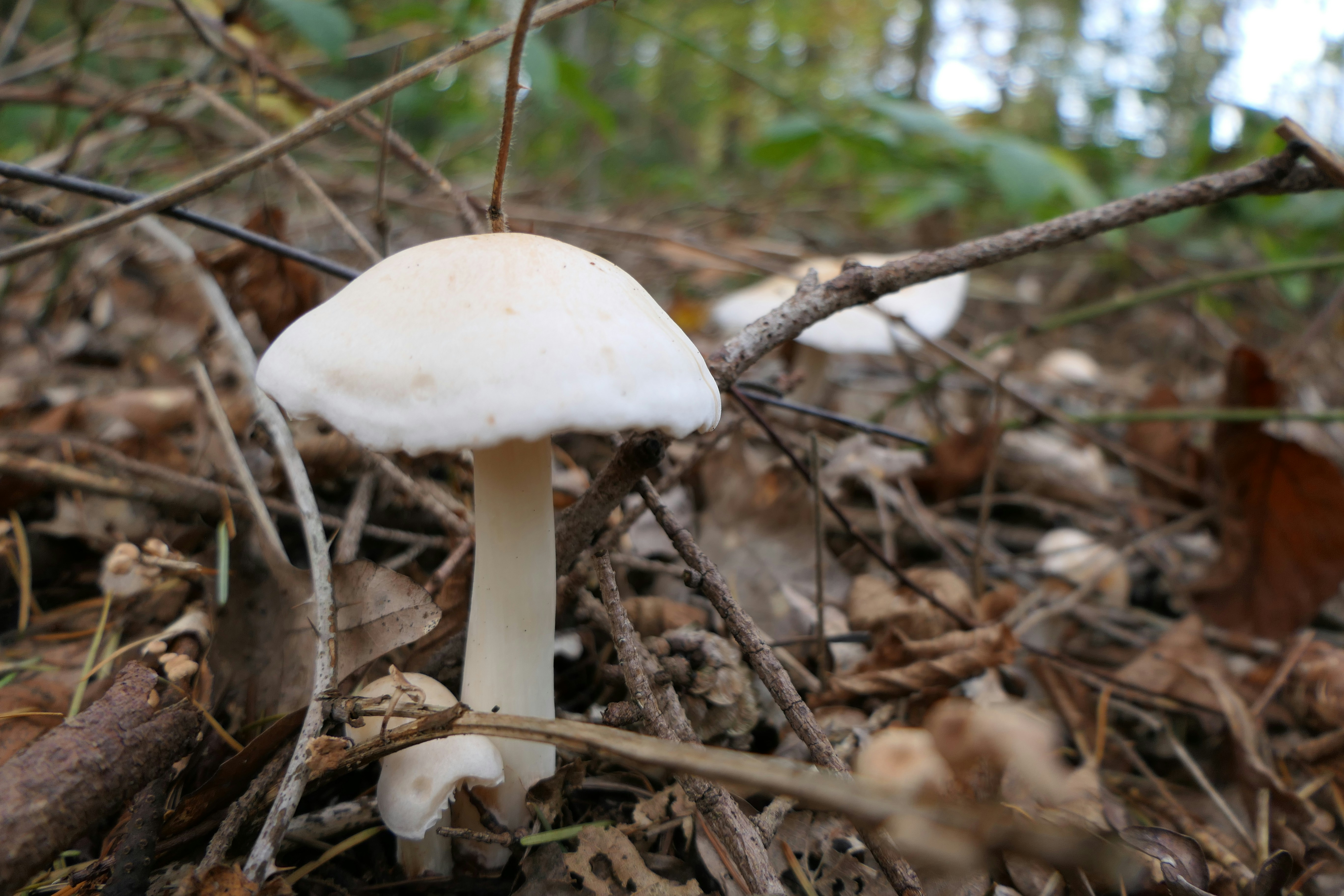 Photo by bernadette64