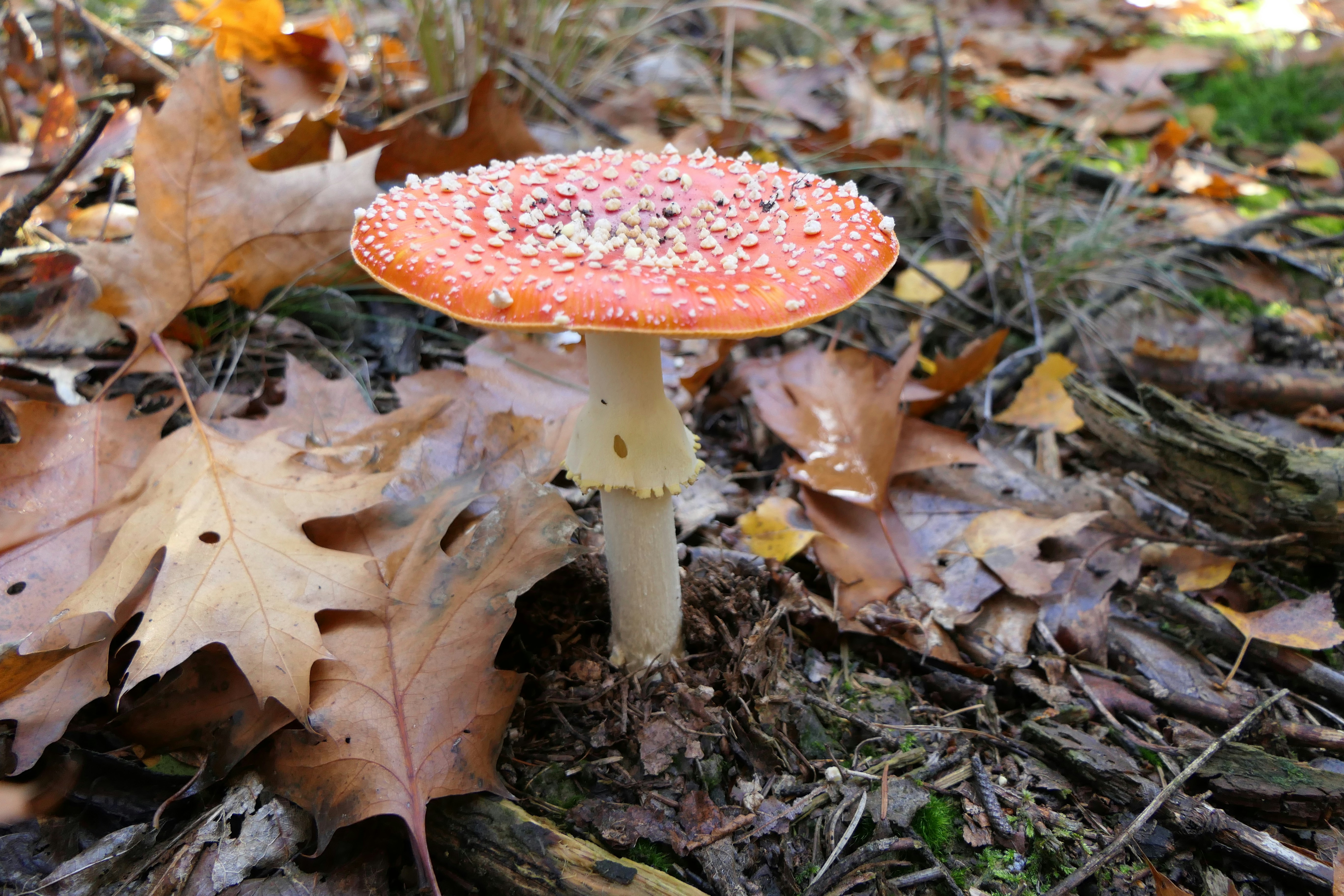 Photo by bernadette64