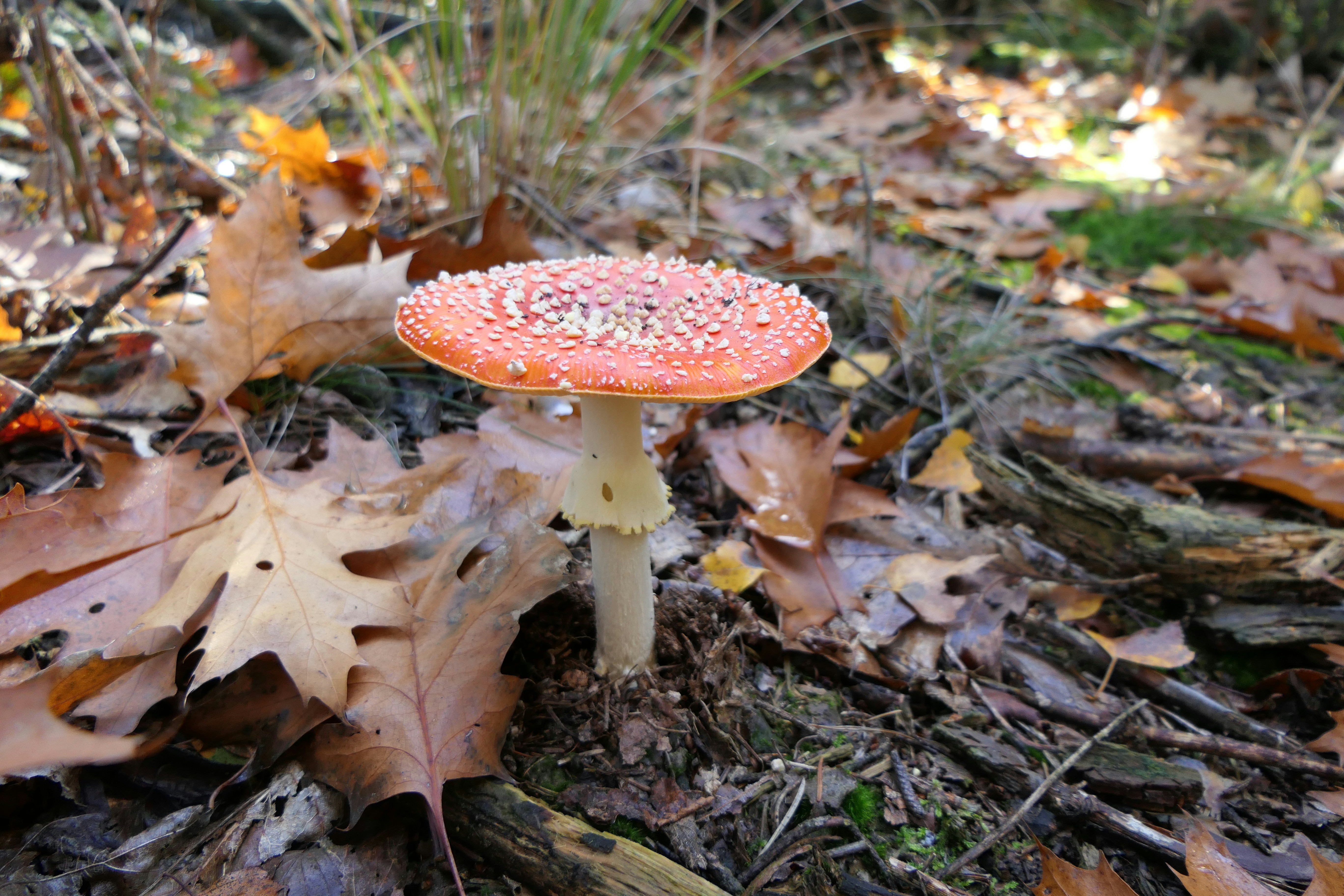 Photo by bernadette64