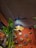 A cozy interior scene featuring a large potted green plant in the foreground. A pendant light hangs from the ceiling, casting a warm glow over the room. The background shows a red textured wall decorated with circular wooden plaques, each with different artistic script writing.