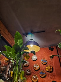 A cozy interior scene featuring a large potted green plant in the foreground. A pendant light hangs from the ceiling, casting a warm glow over the room. The background shows a red textured wall decorated with circular wooden plaques, each with different artistic script writing.
