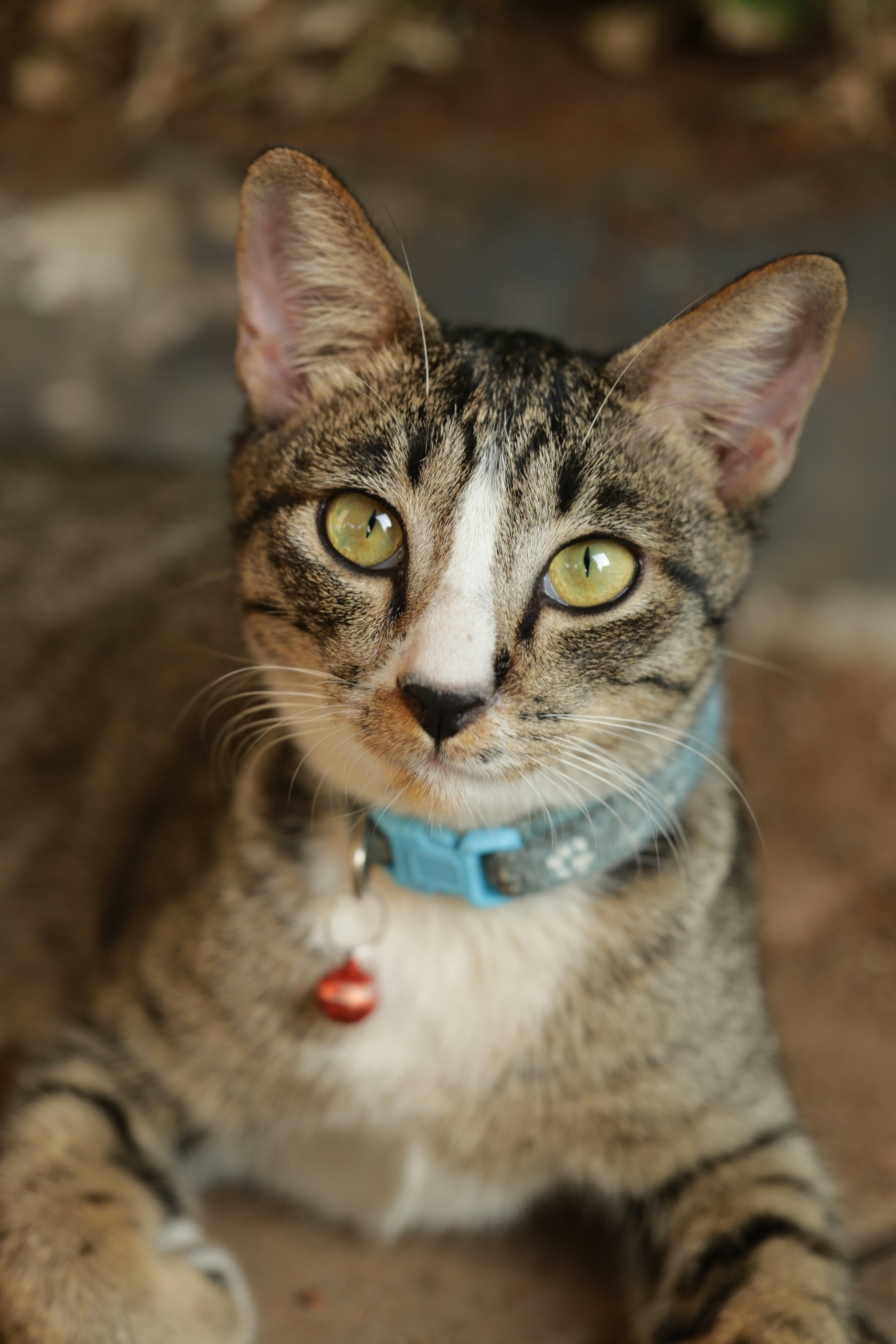 Photo by nathaniel_feel