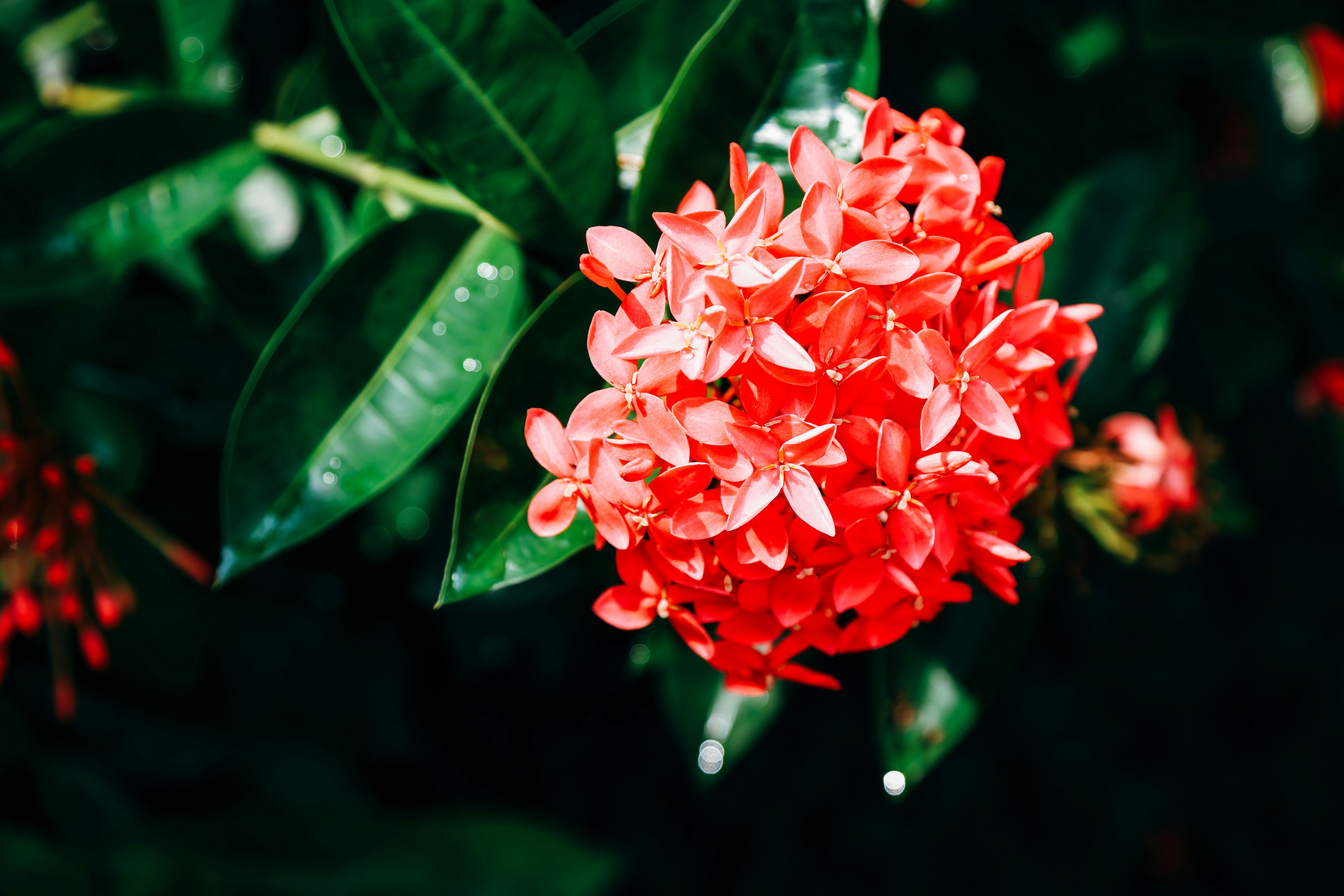 Photo by dickenslin76