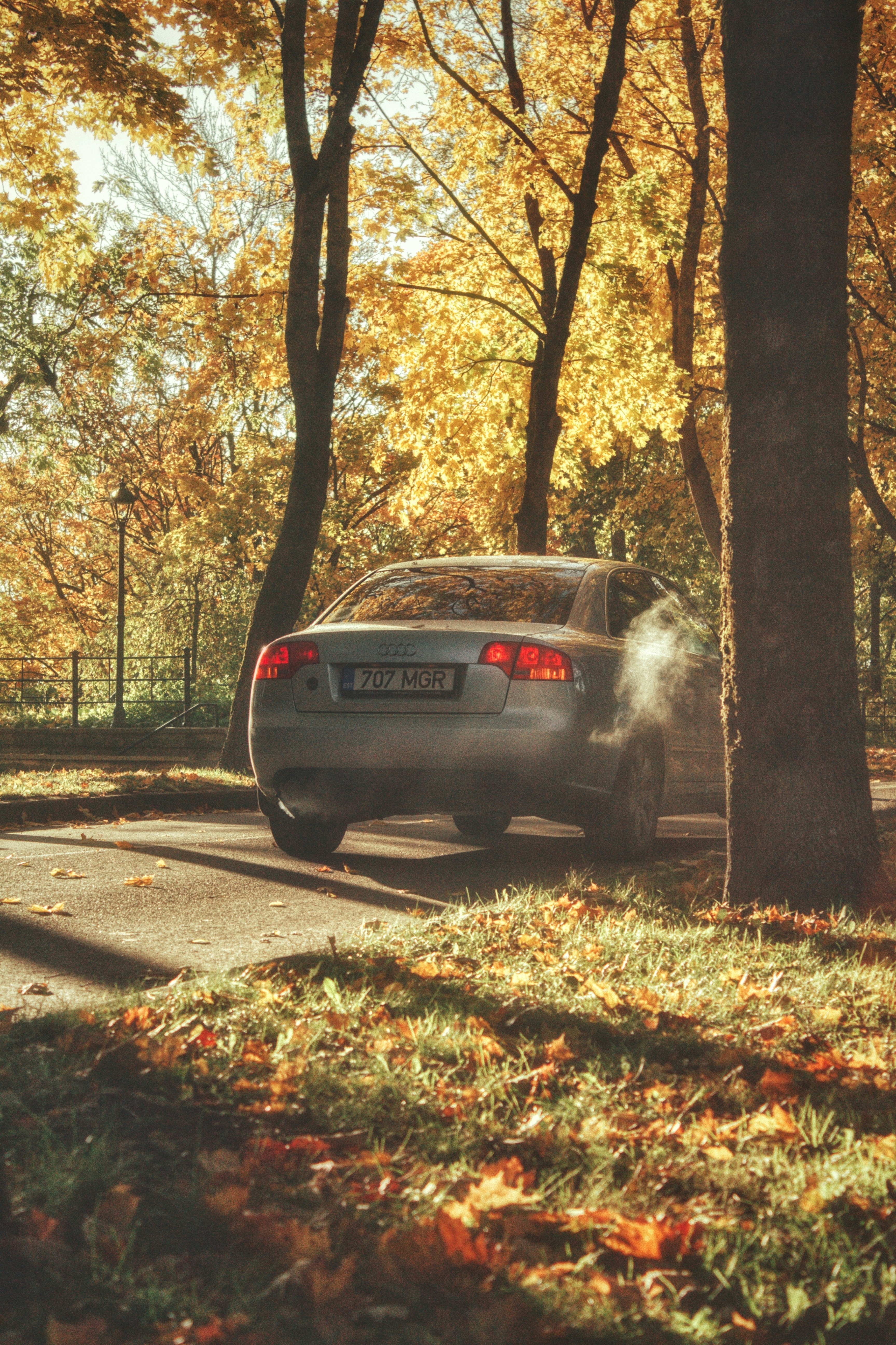 Photo by maximyuryshev