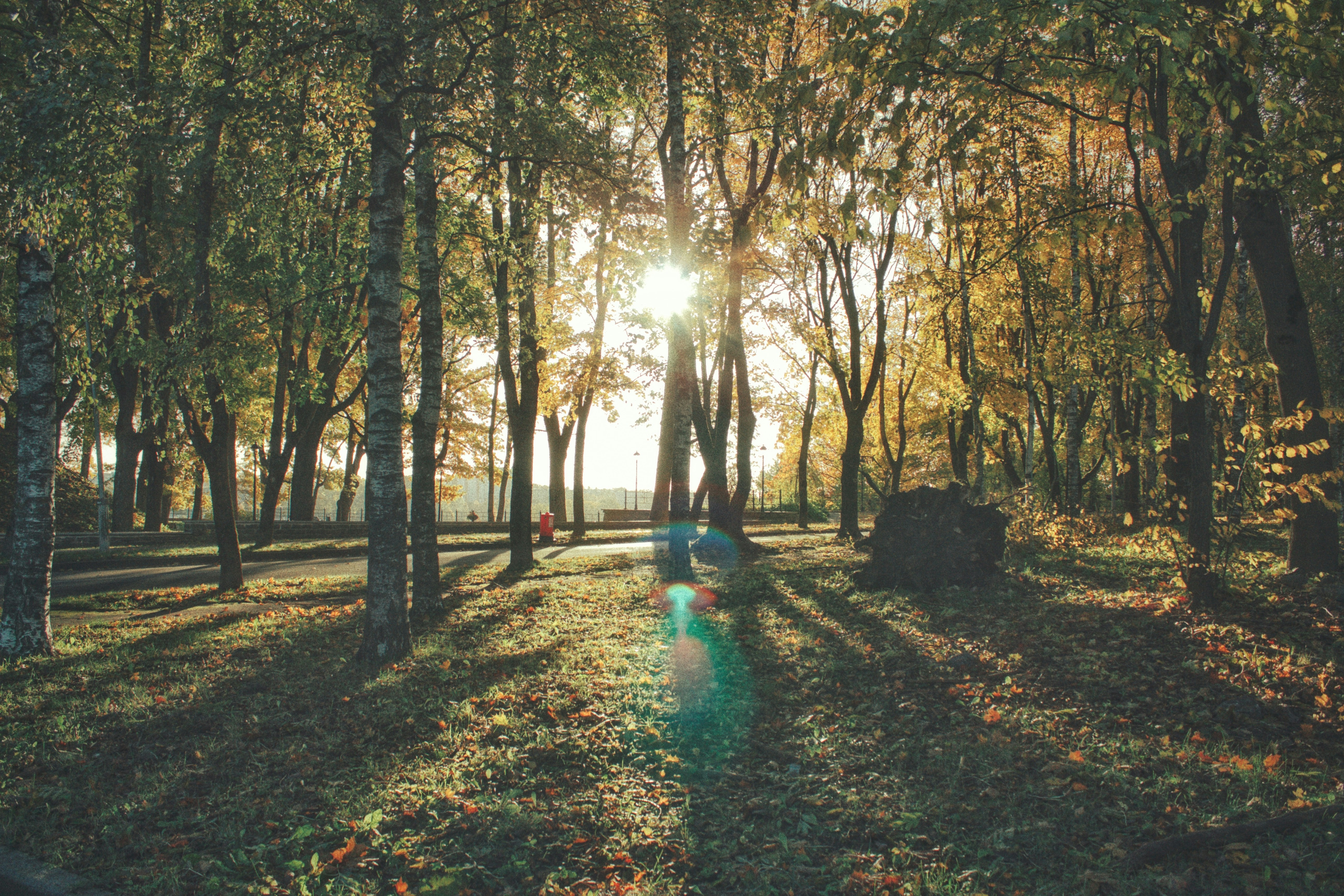 Photo by maximyuryshev