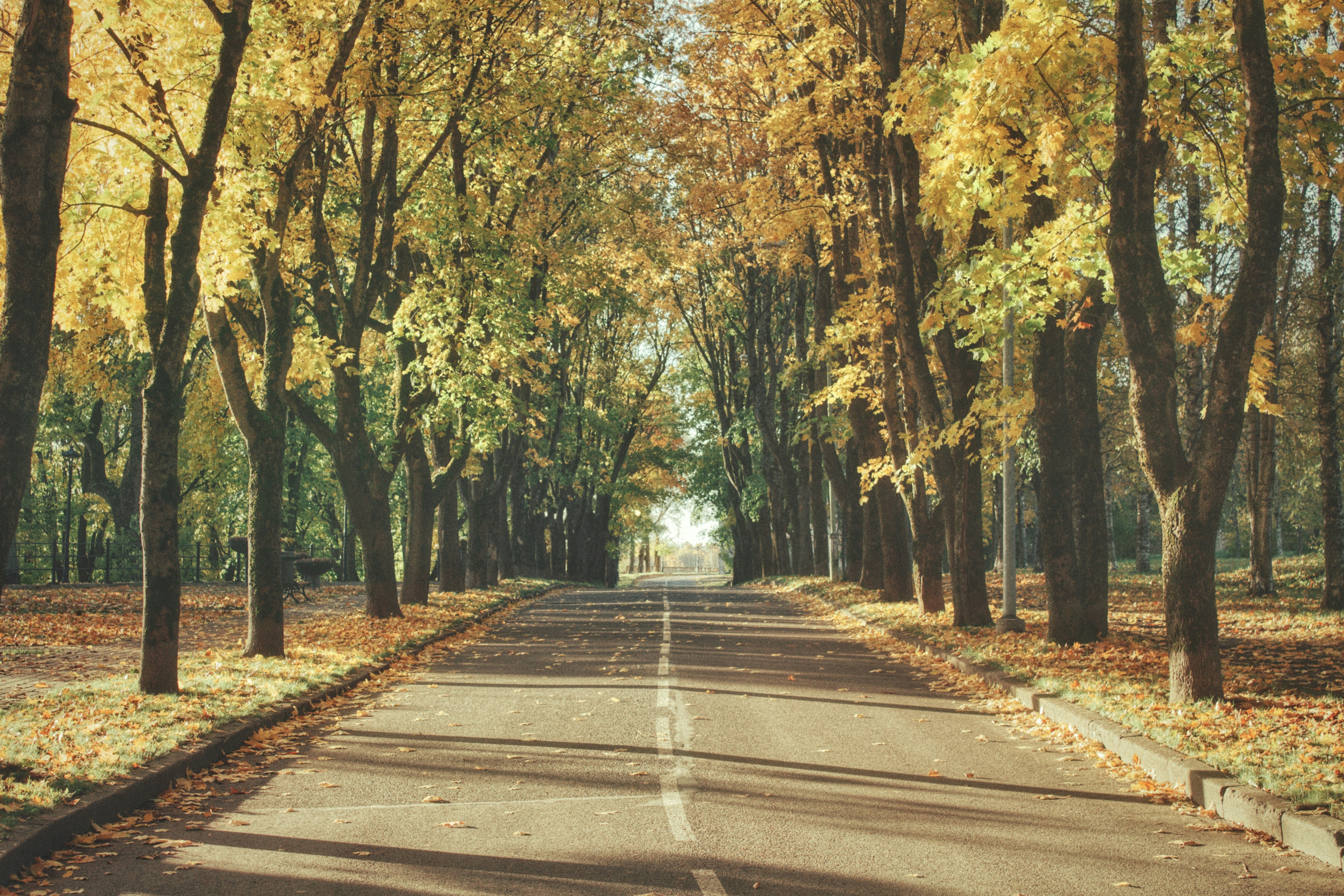 Photo by maximyuryshev